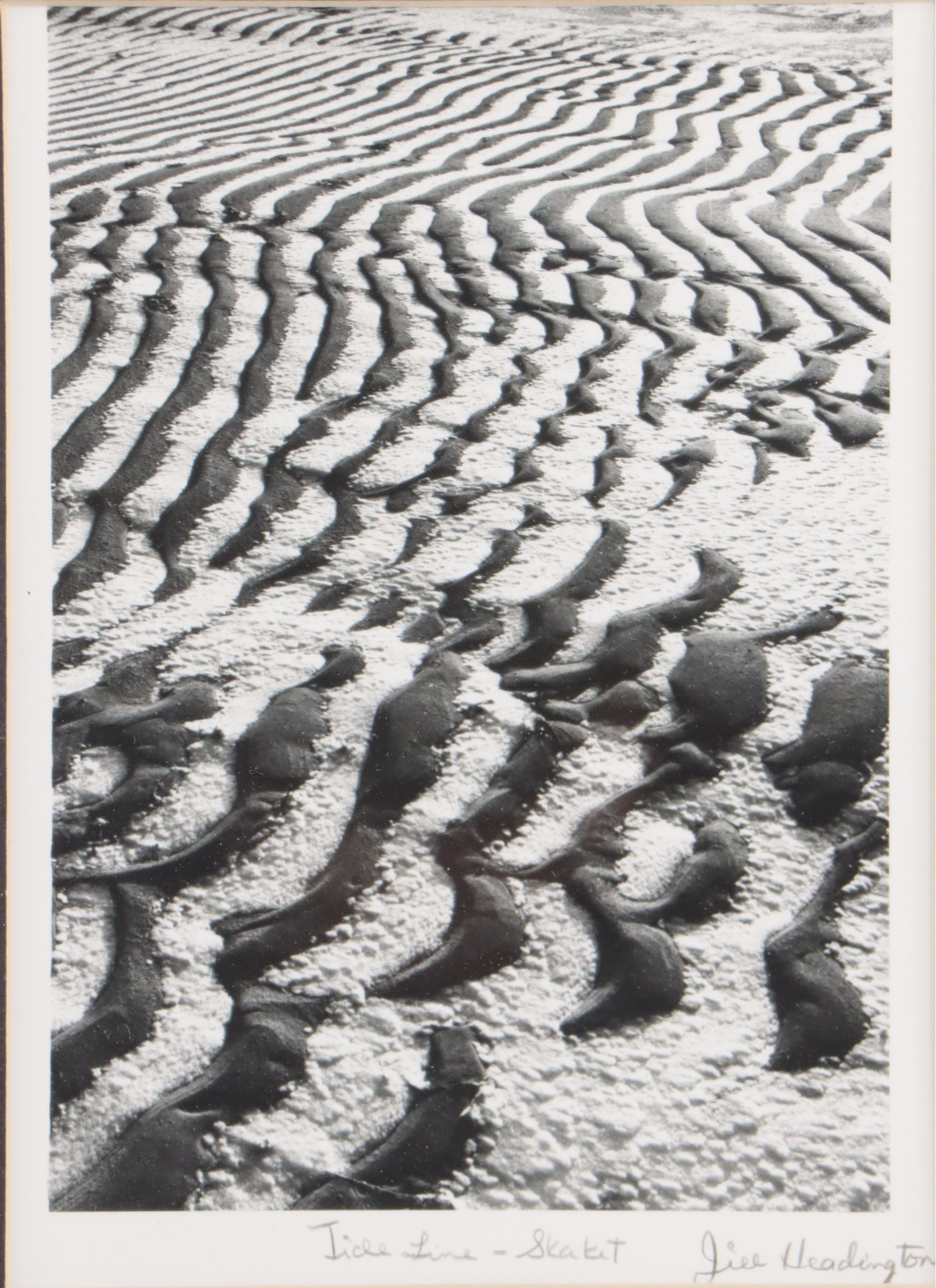 Beach Genre Chromogenic Color Photograph of Clam; More