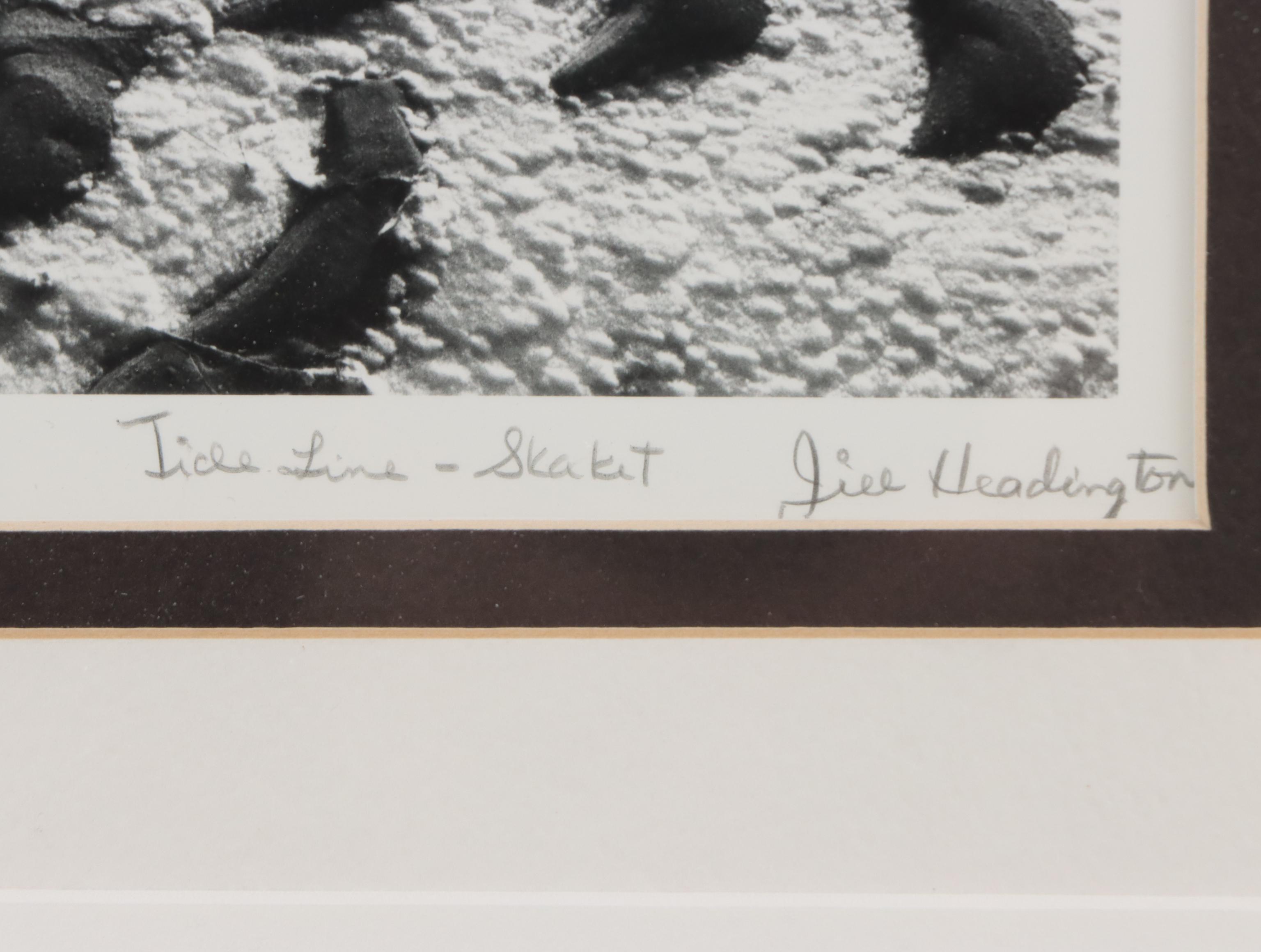 Beach Genre Chromogenic Color Photograph of Clam; More