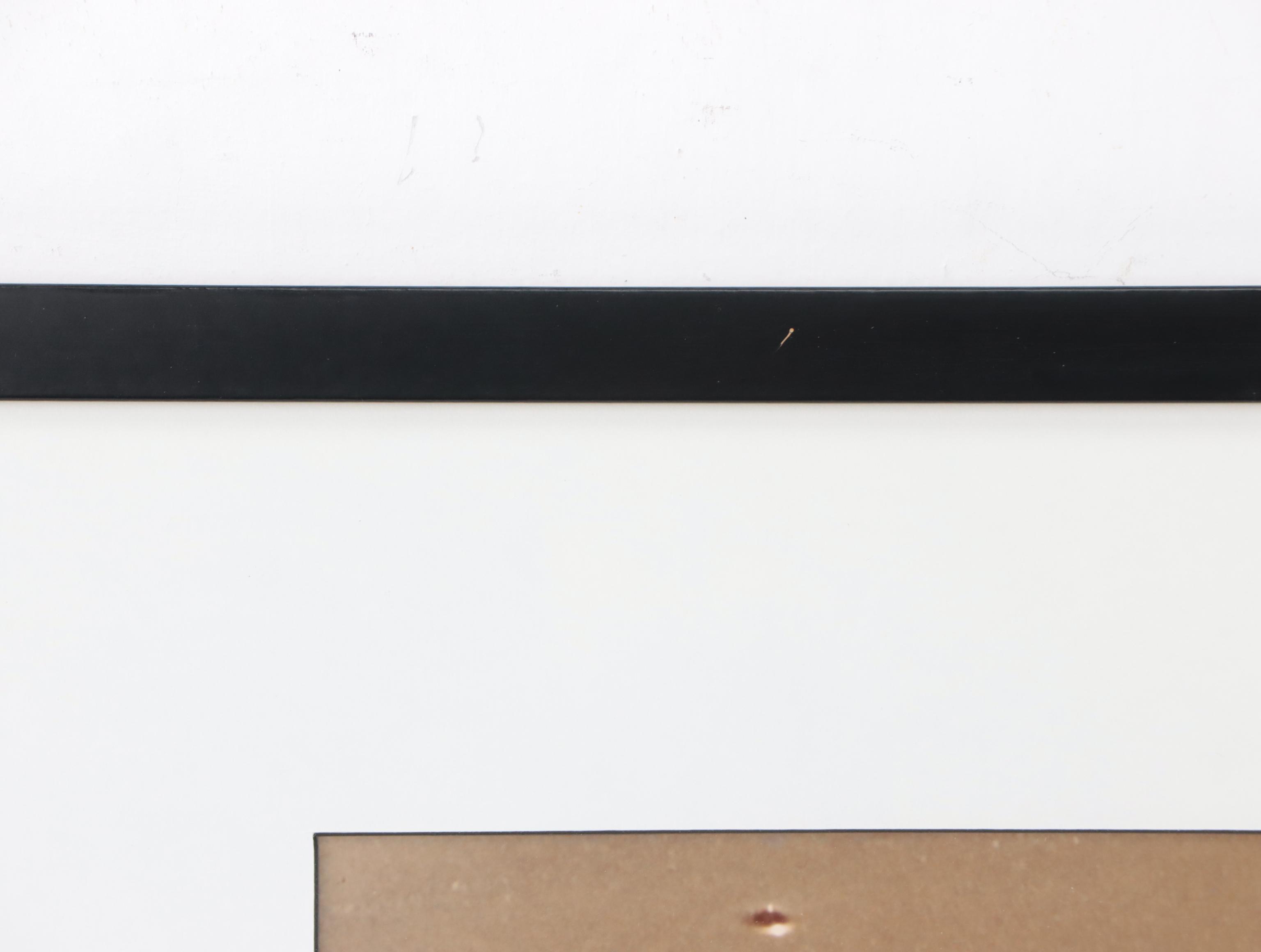 Beach Genre Chromogenic Color Photograph of Clam; More