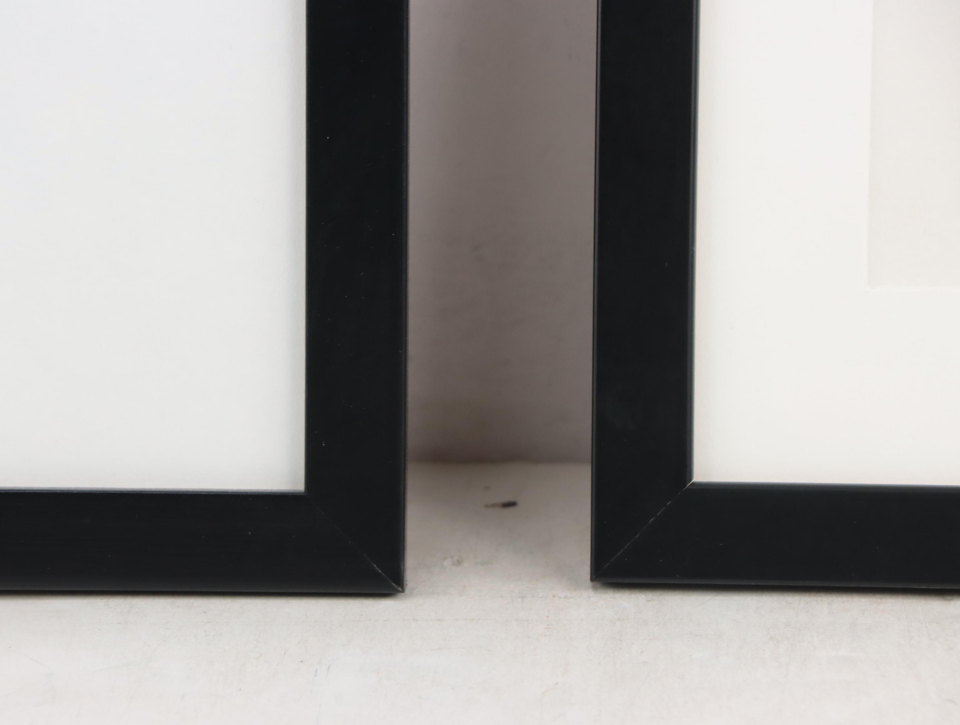 Beach Genre Chromogenic Color Photograph of Clam; More