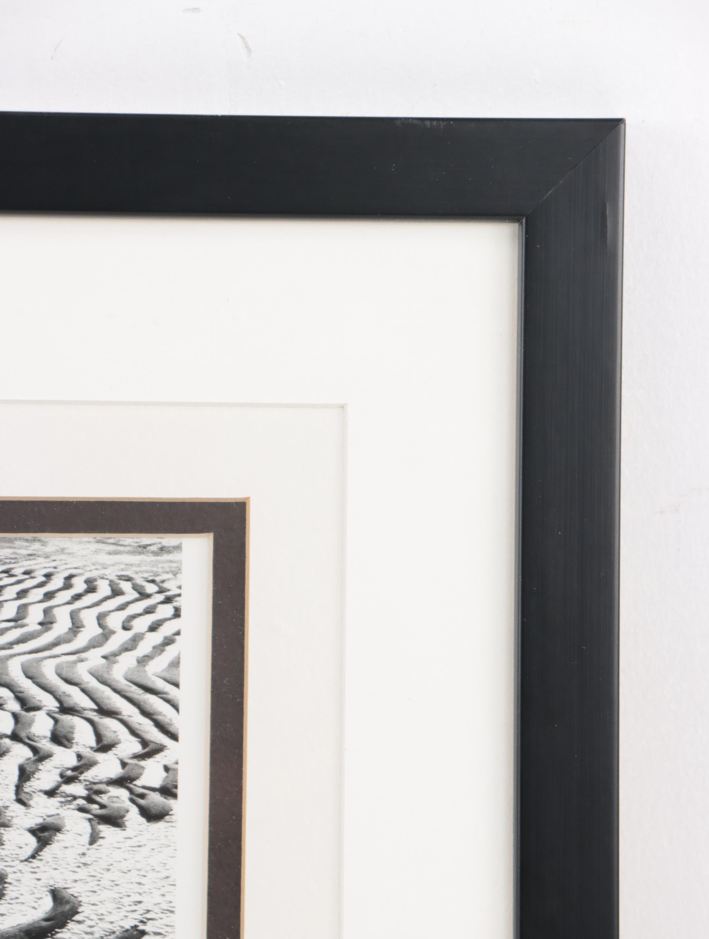 Beach Genre Chromogenic Color Photograph of Clam; More