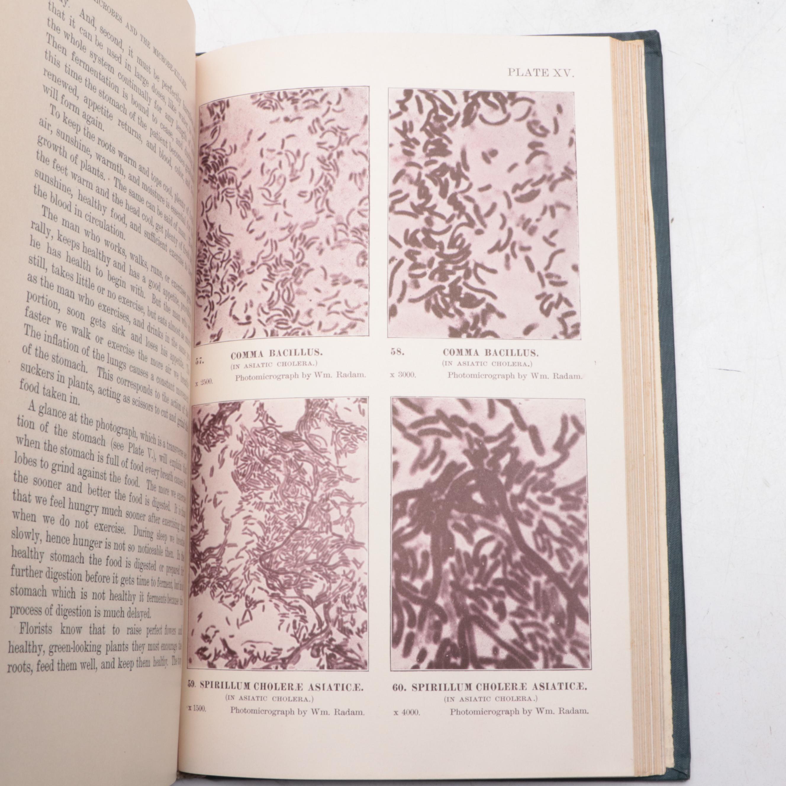 William Radam Microbe Killer Stoneware Jugs with Radam Books, Late 19th Century