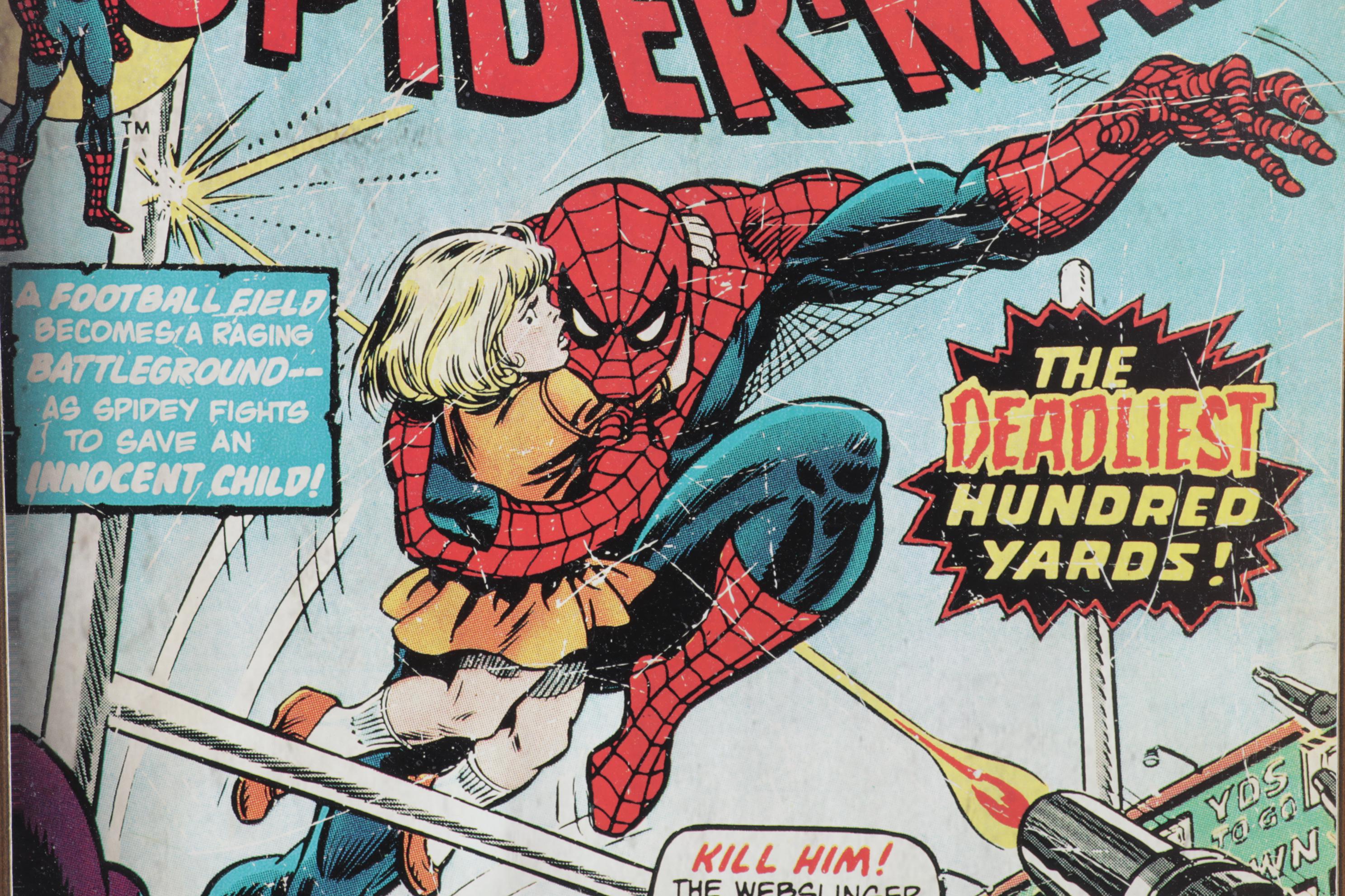 Marvel Comics Offset Lithograph Wall Hanging "The Amazing Spider-Man #153"