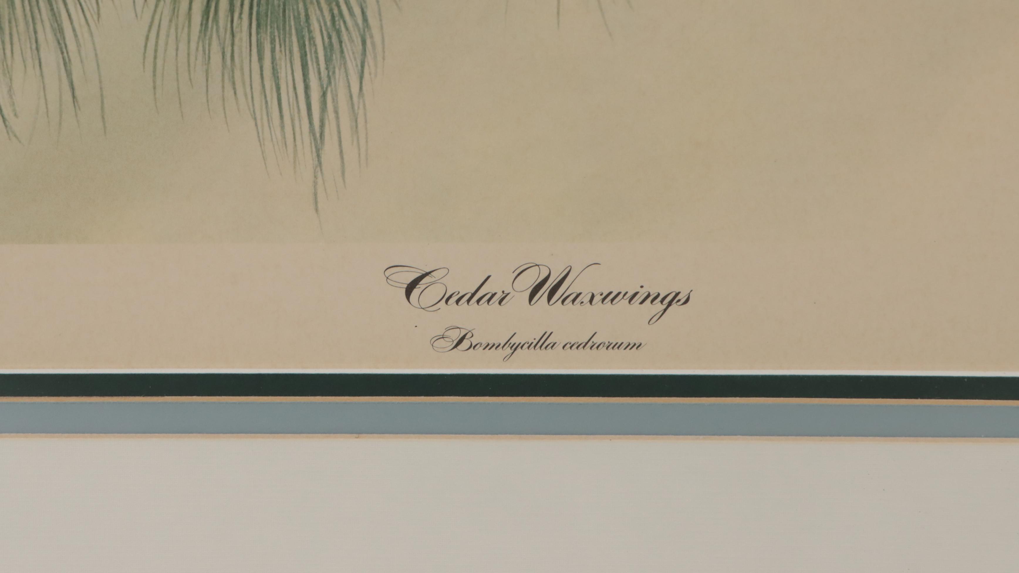 John A. Ruthven Offset Lithograph "Cedar Waxwings"