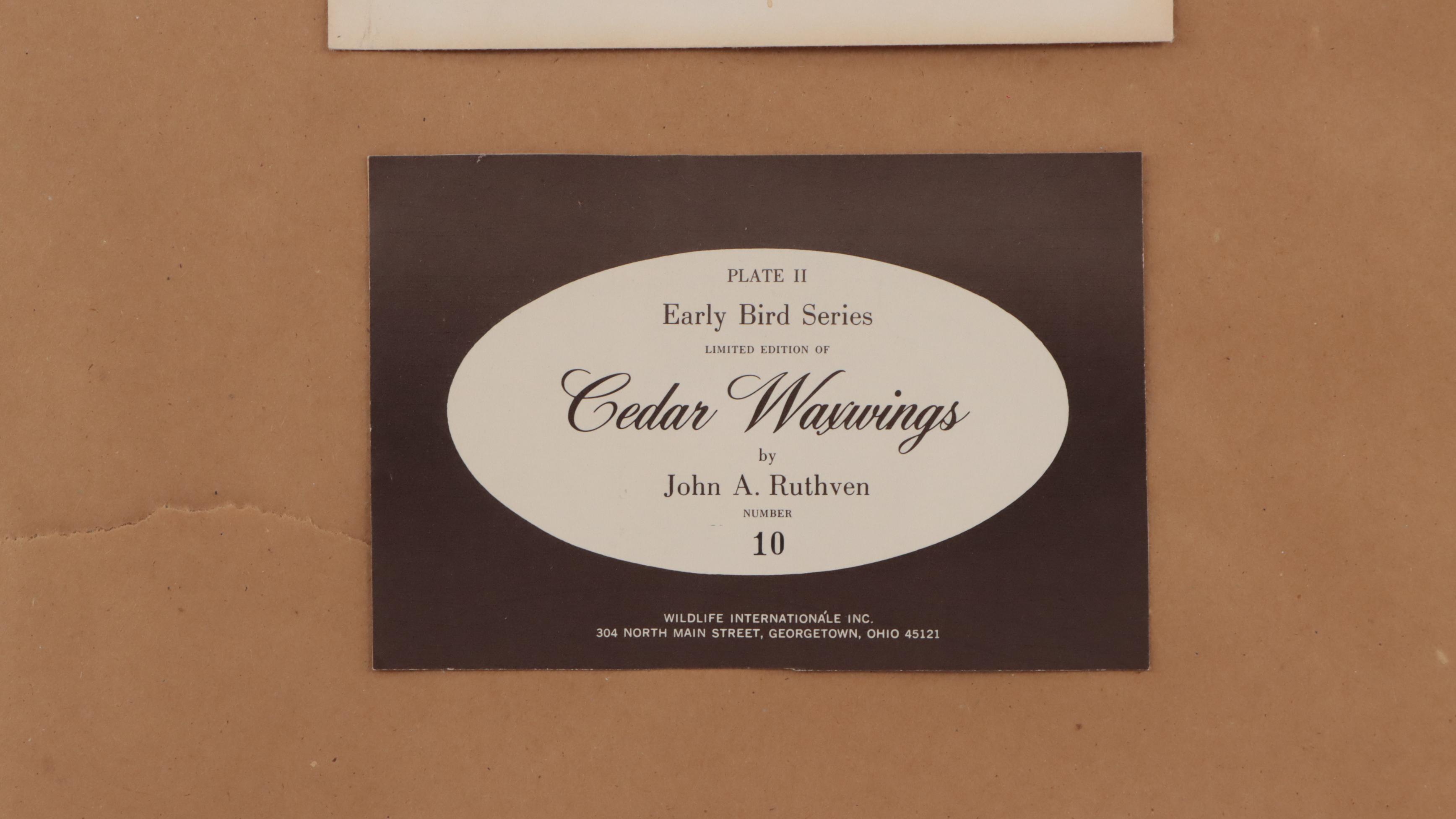 John A. Ruthven Offset Lithograph "Cedar Waxwings"