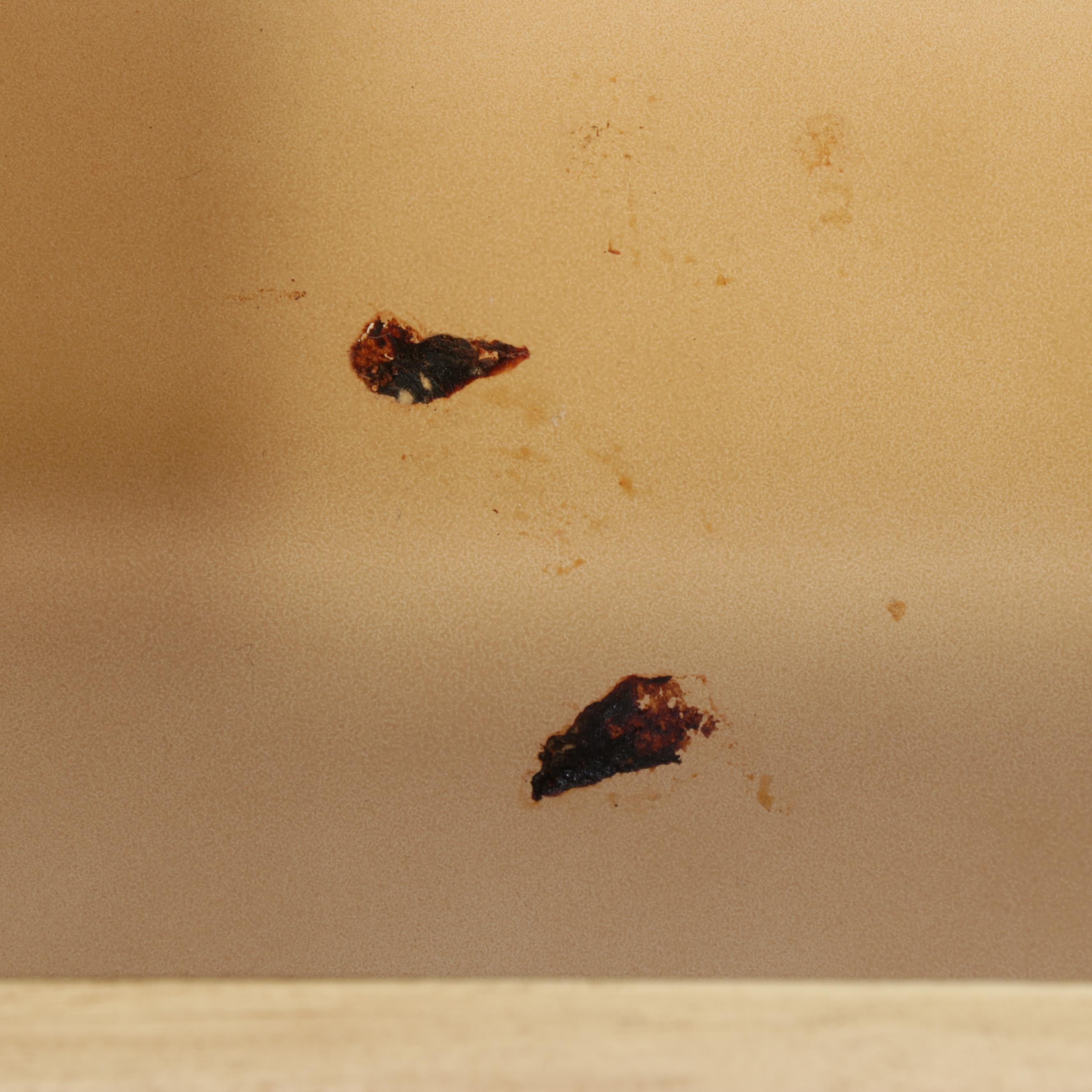 Louis XV Style Cream-Painted Bookcase