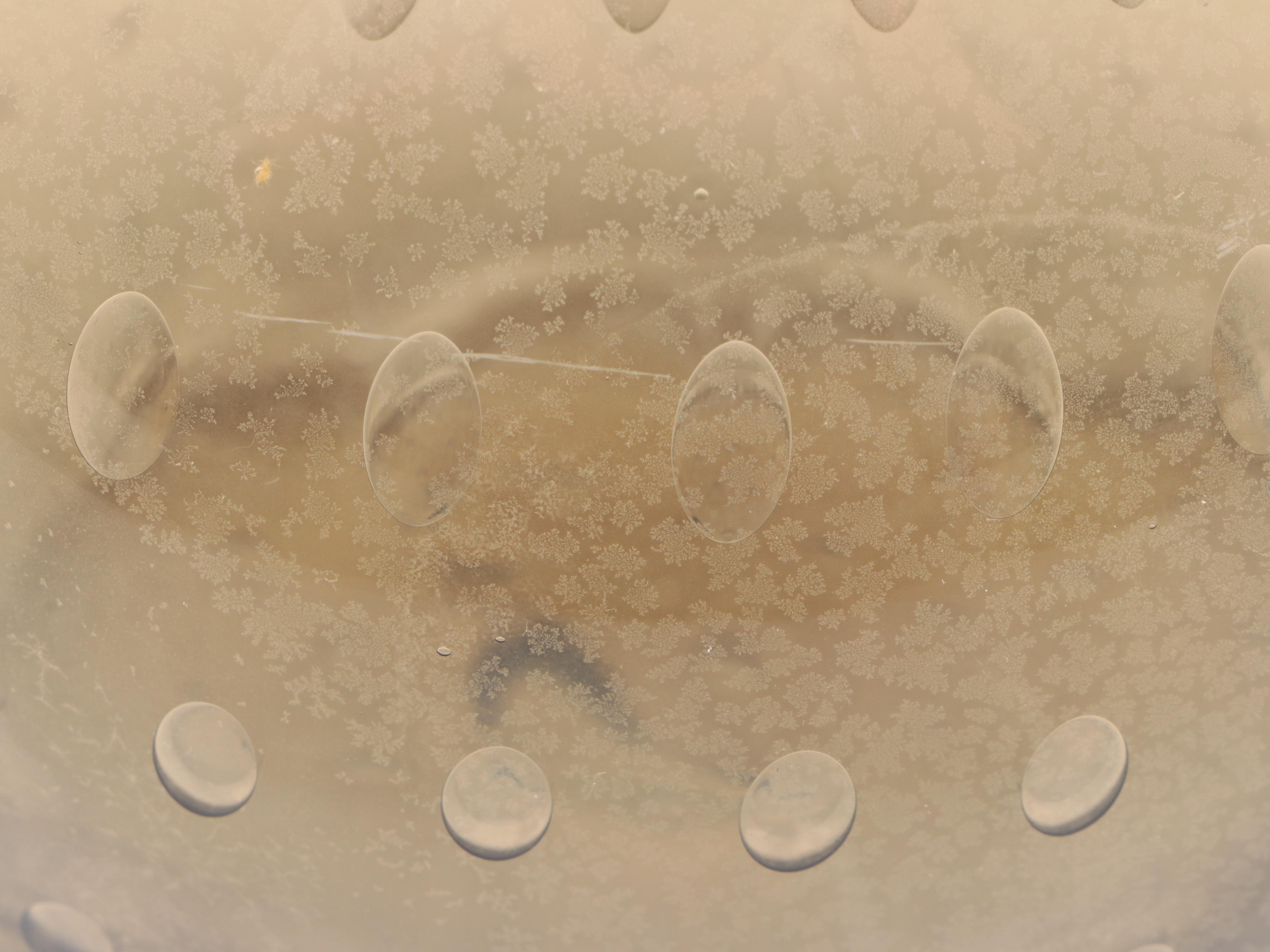 King Handmade Controlled Bubble Glass Decanter with Stopper