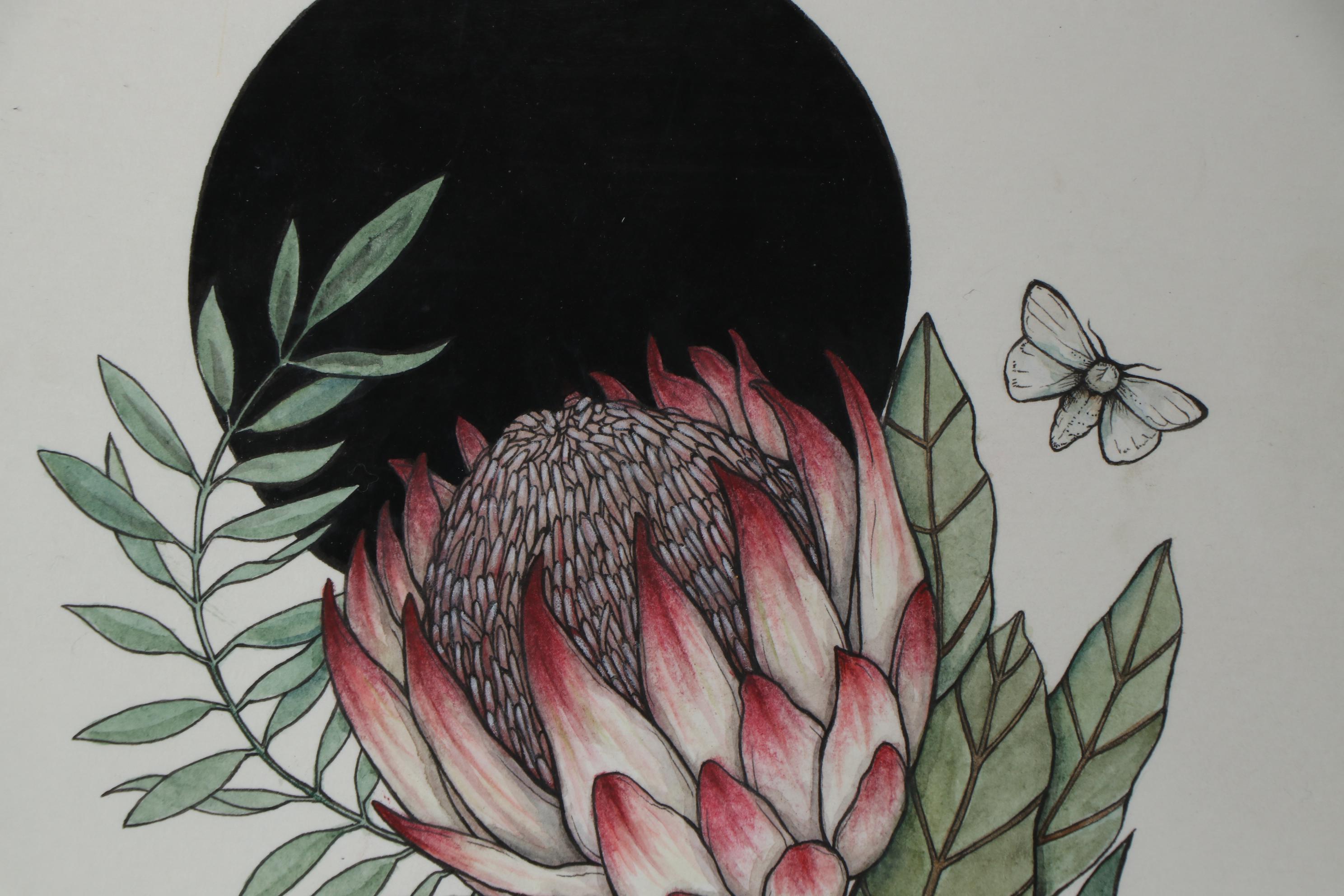 Shannon Fitch Ink and Gouache Illustration "Protea," 2019