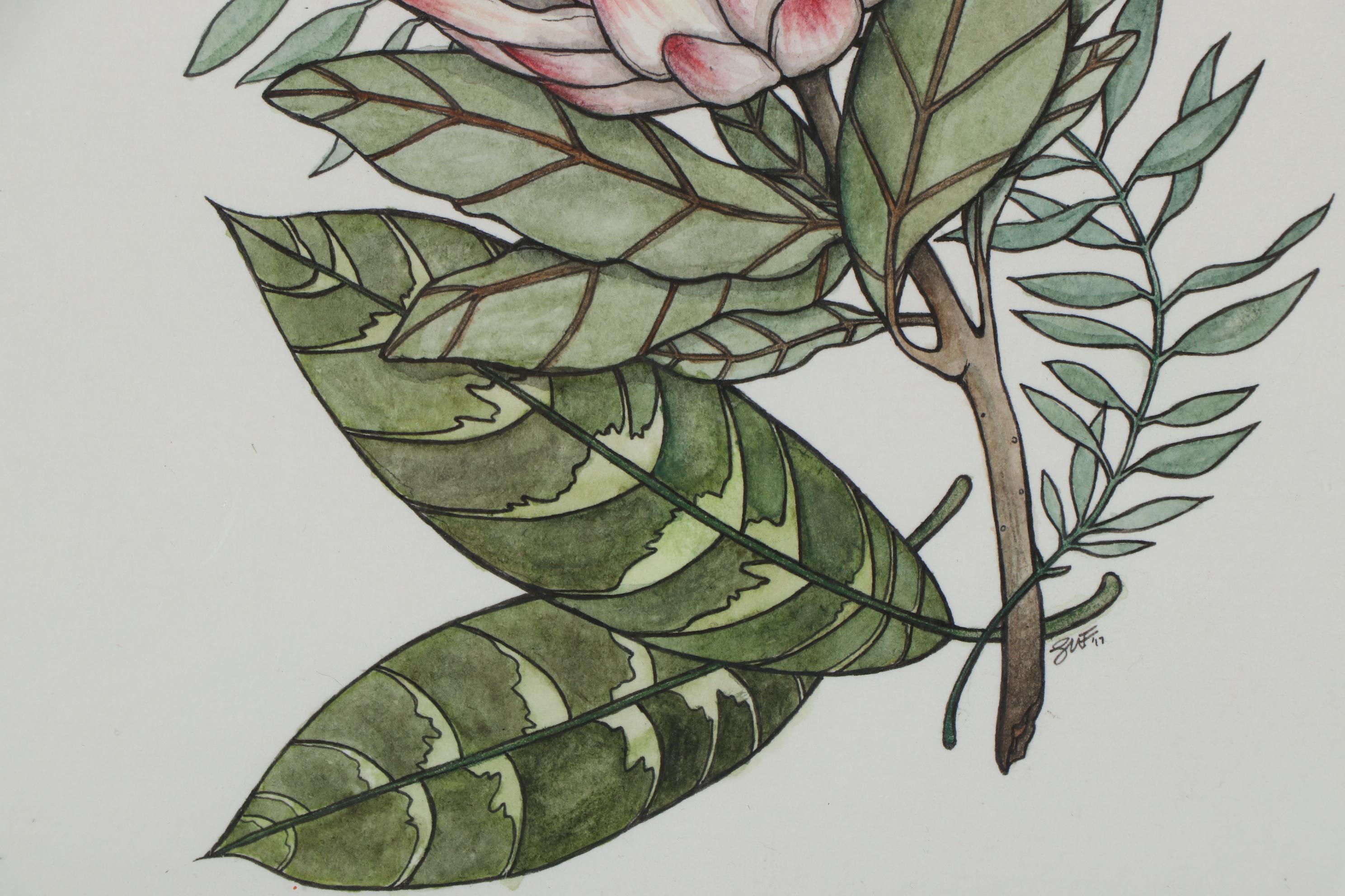 Shannon Fitch Ink and Gouache Illustration "Protea," 2019