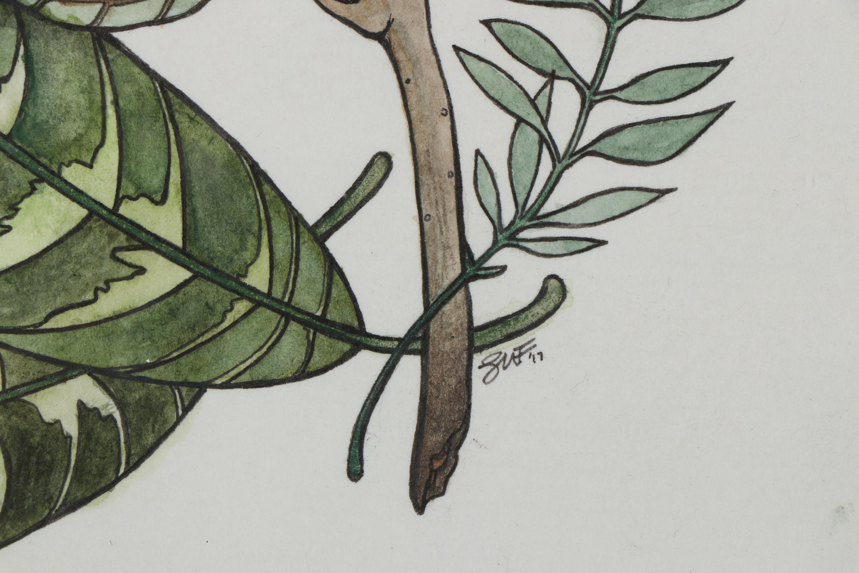 Shannon Fitch Ink and Gouache Illustration "Protea," 2019