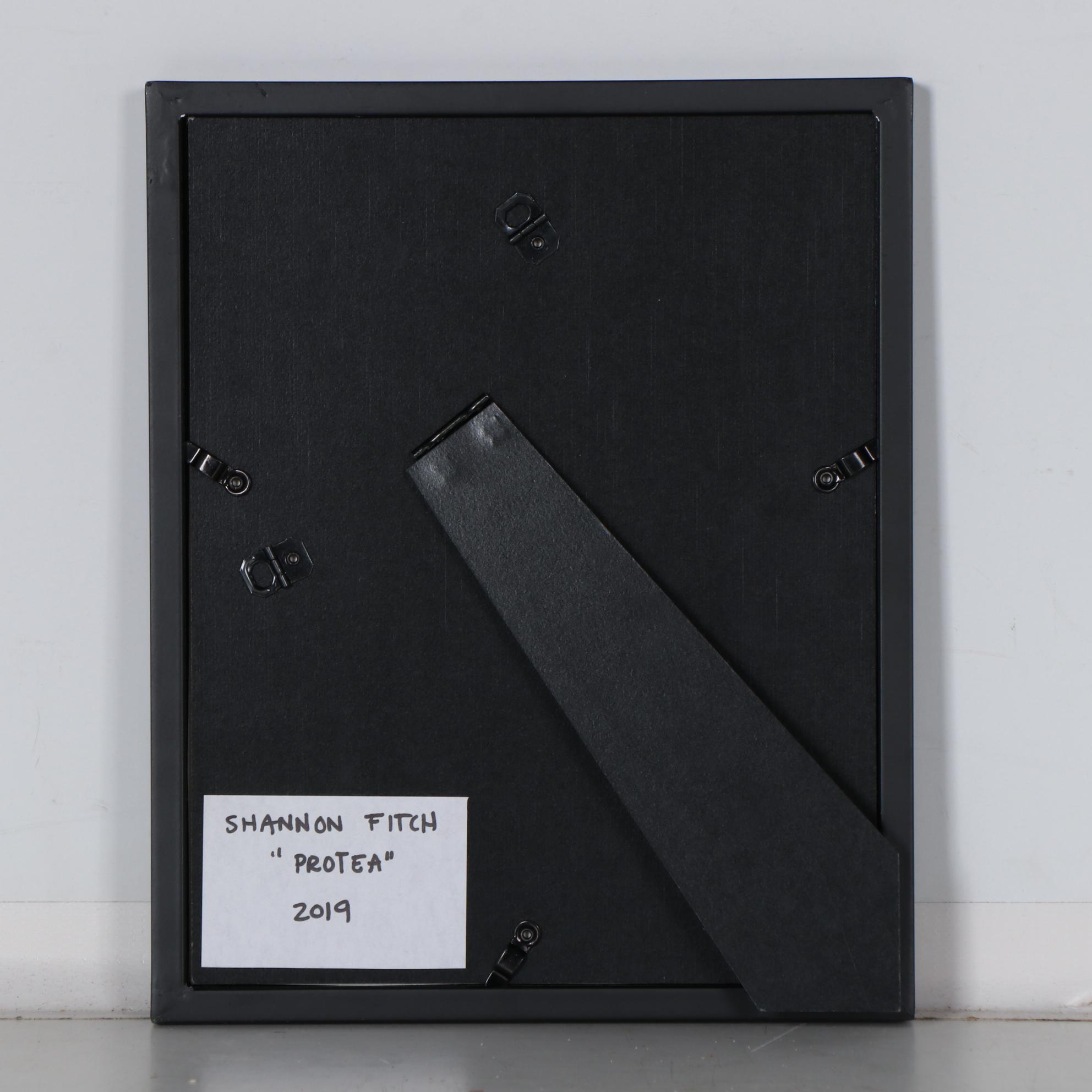 Shannon Fitch Ink and Gouache Illustration "Protea," 2019