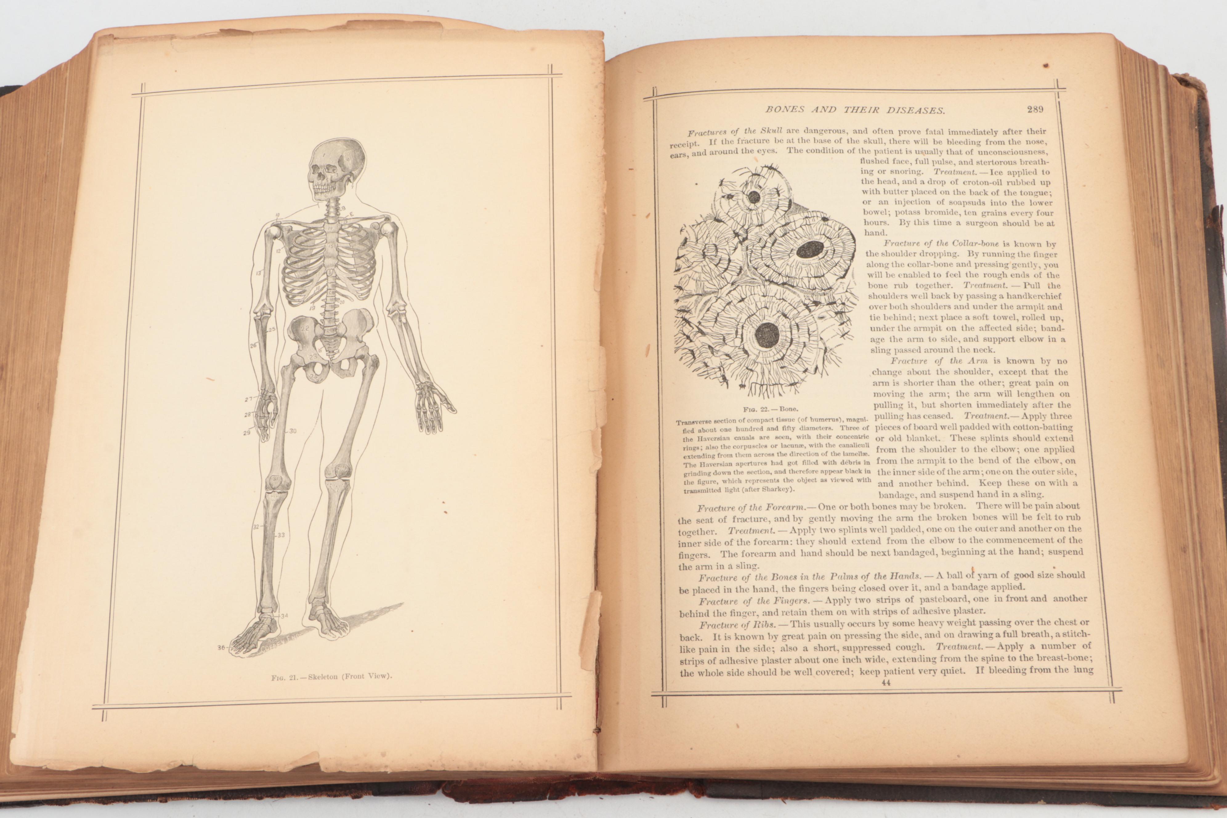 Illustrated "Gately's Universal Educator: An Educational Cyclopædia," 1883