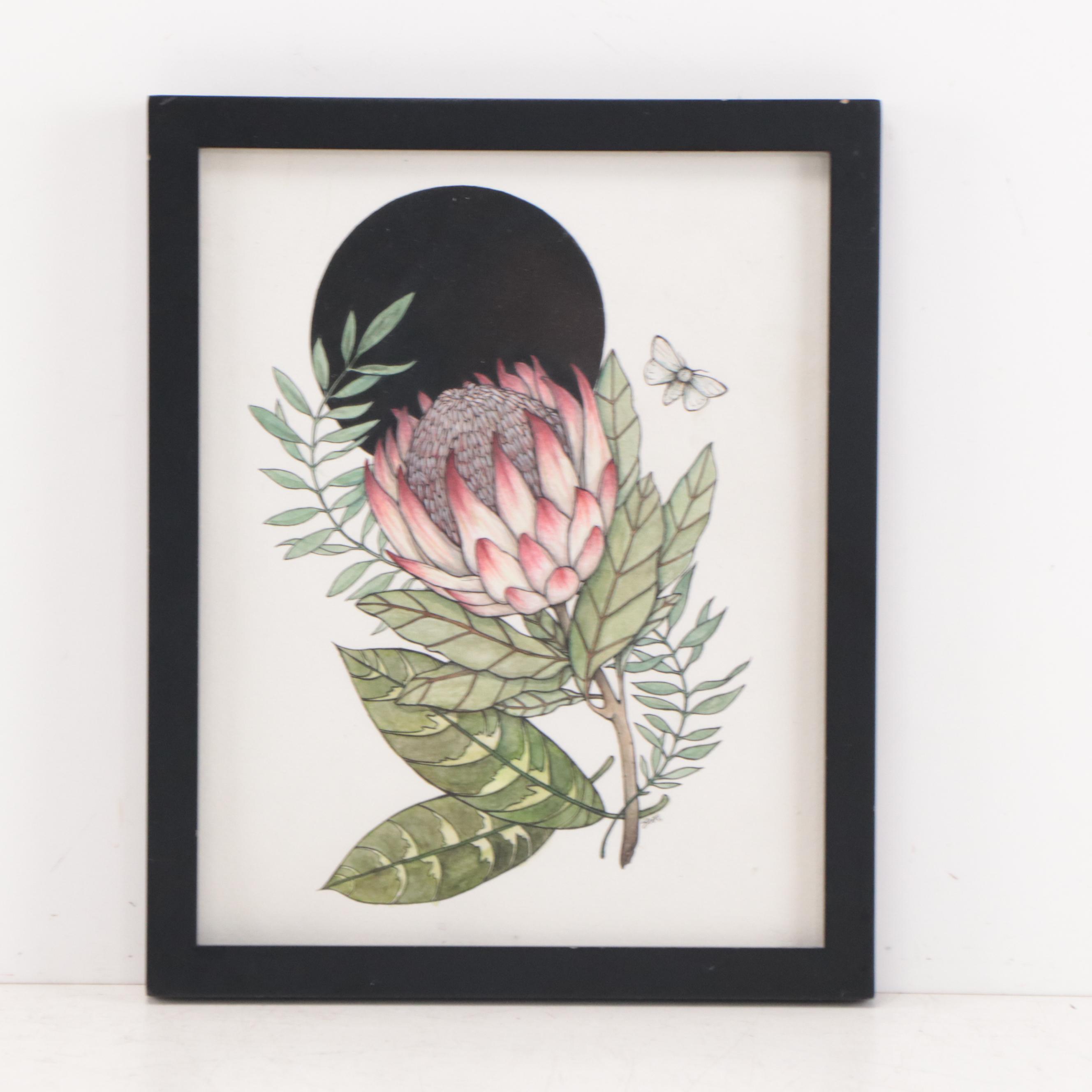 Shannon Fitch Ink and Gouache Illustration "Protea," 2019