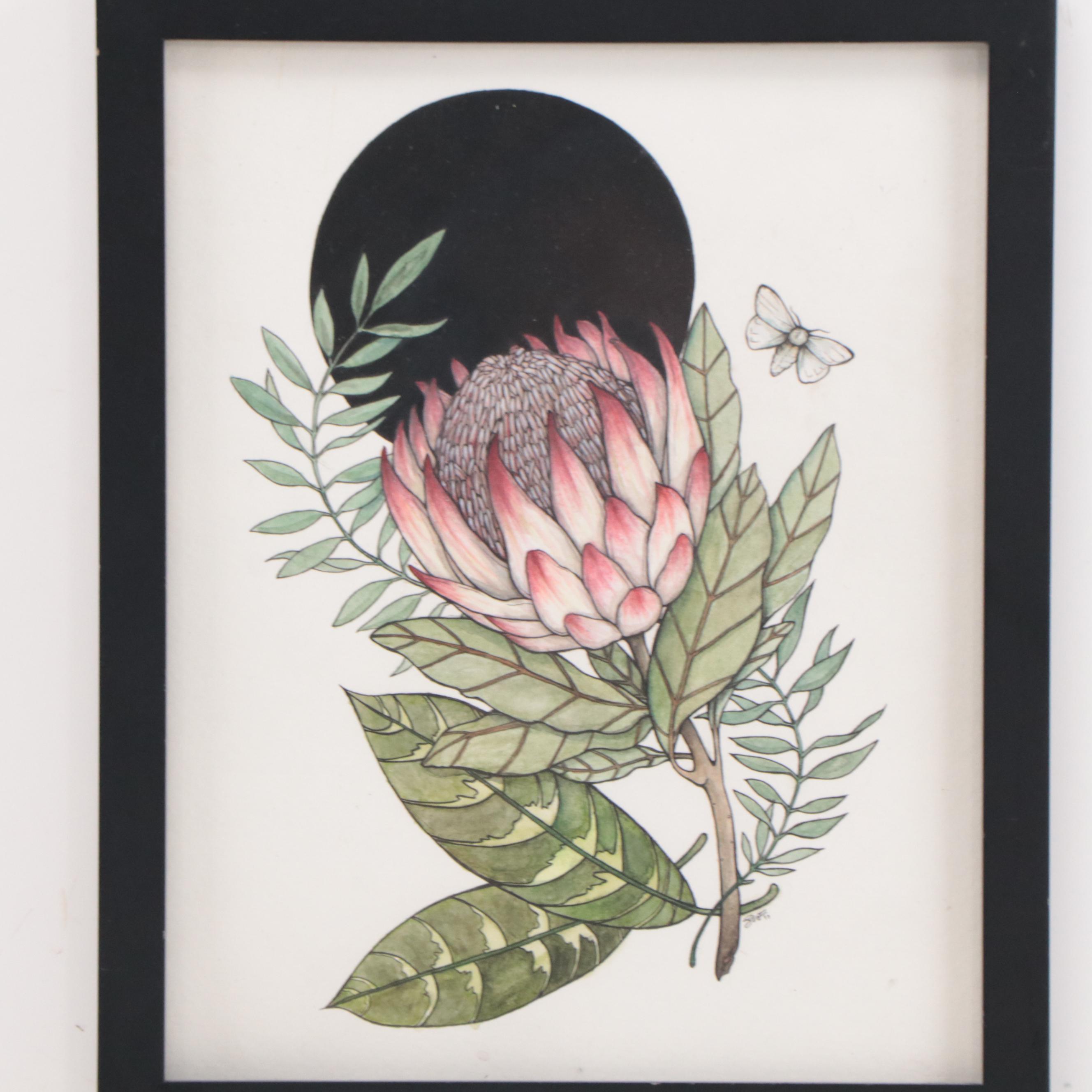 Shannon Fitch Ink and Gouache Illustration "Protea," 2019