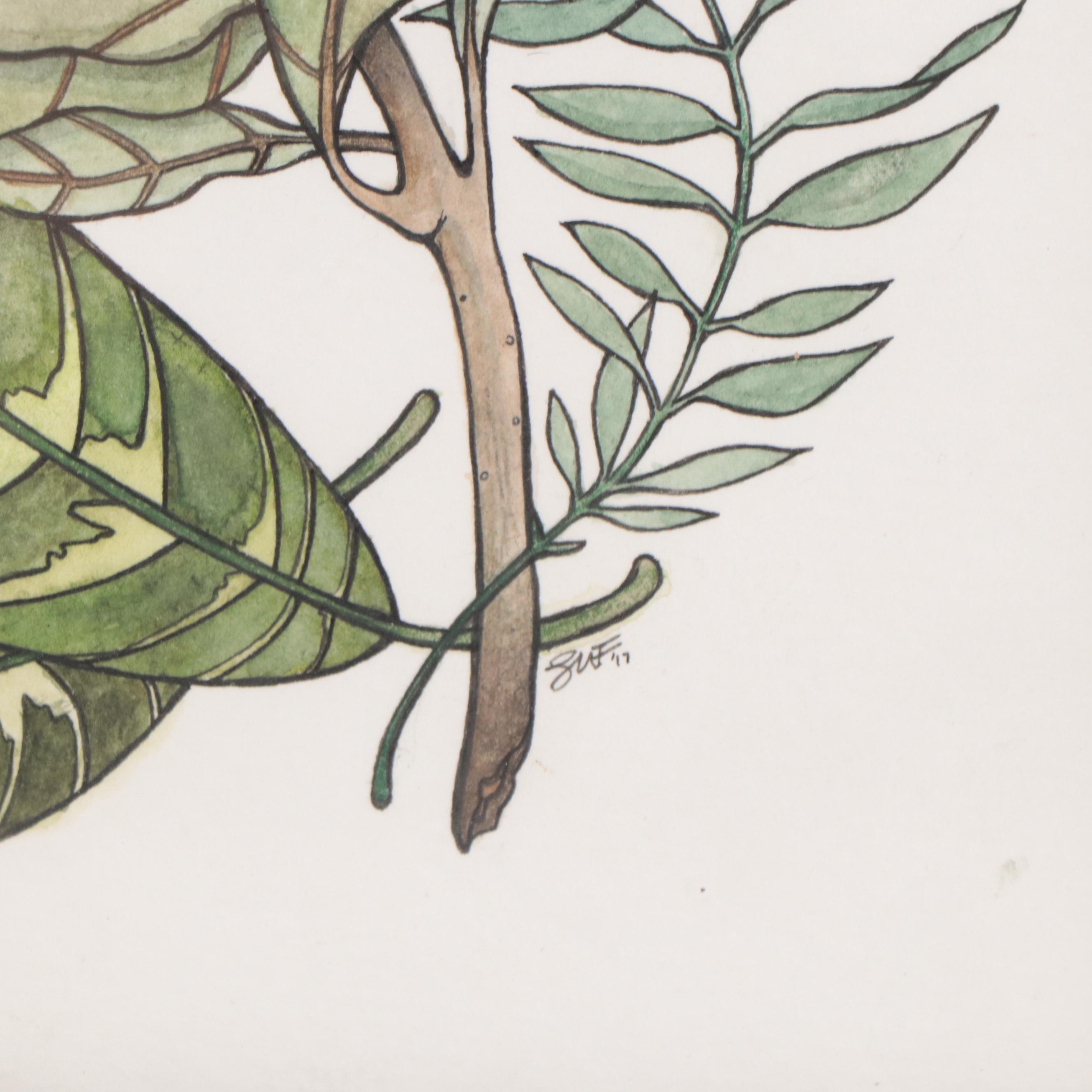 Shannon Fitch Ink and Gouache Illustration "Protea," 2019