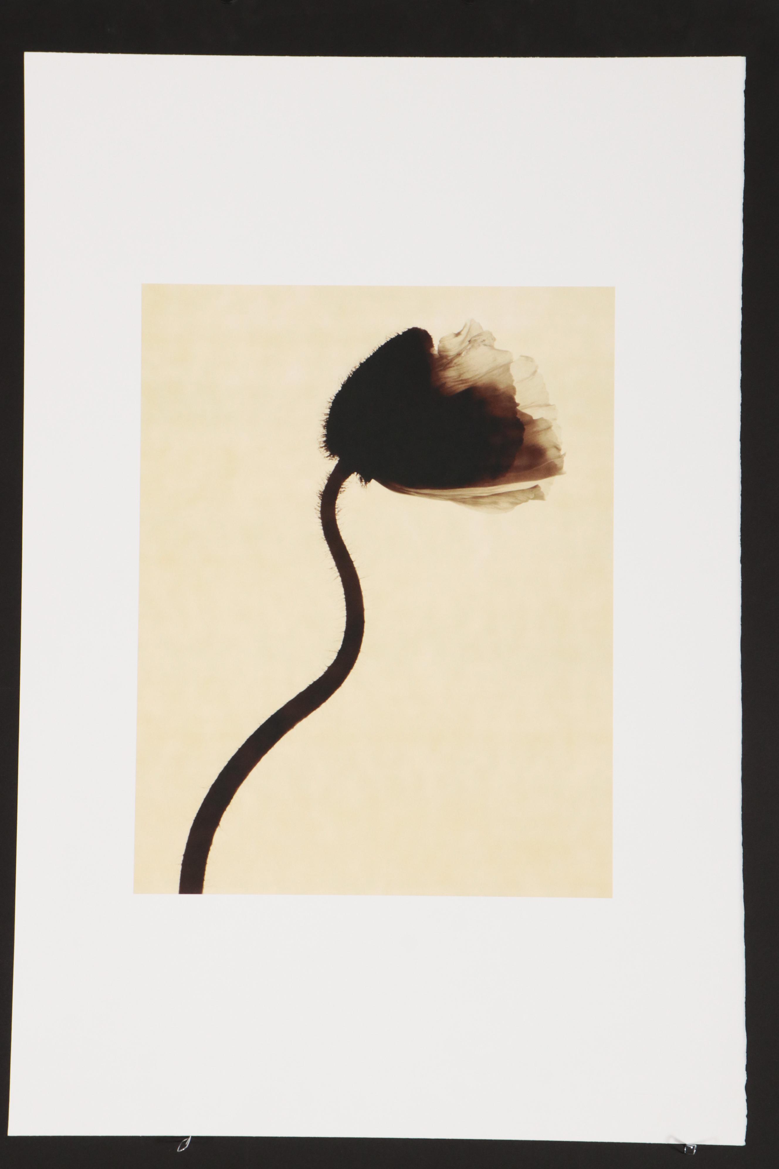 Torkil Gudnason Iris Prints "Natural Elements," 2000/2001
