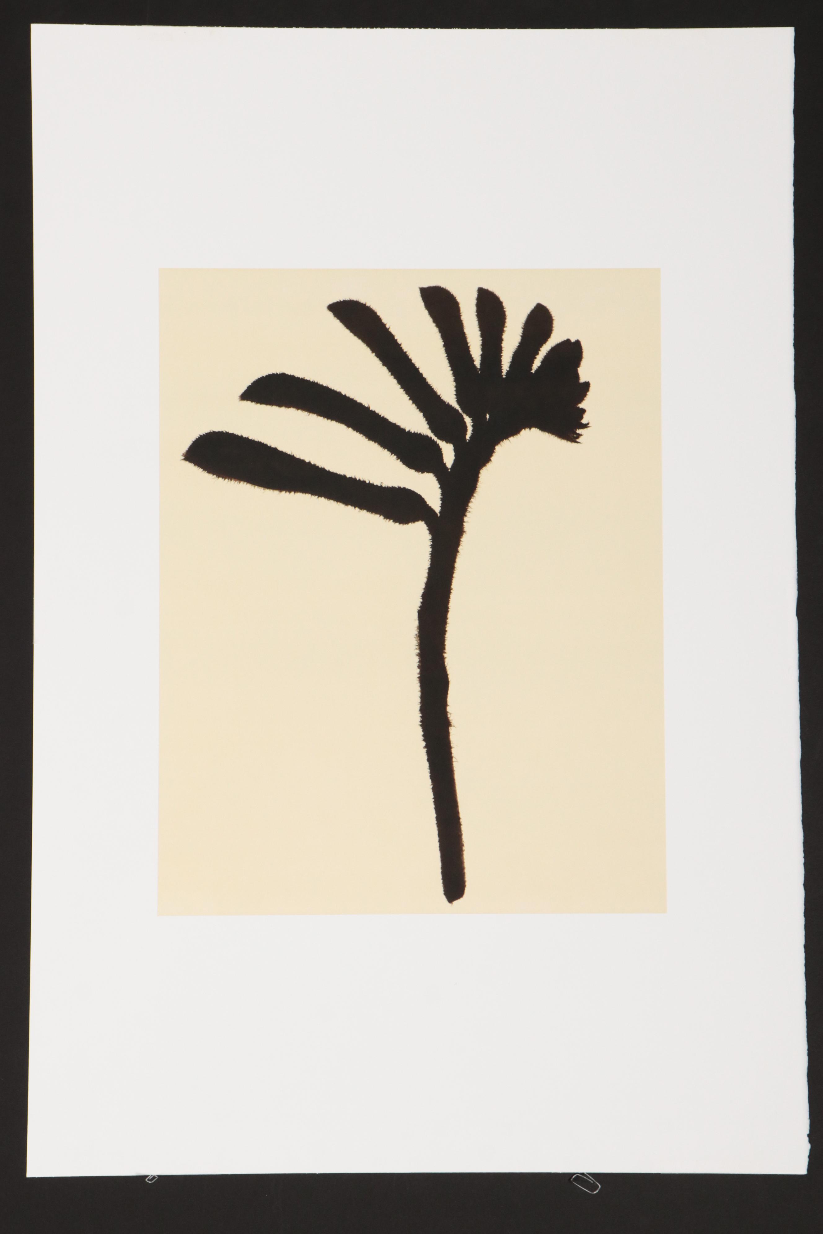 Torkil Gudnason Iris Prints "Natural Elements," 2000/2001