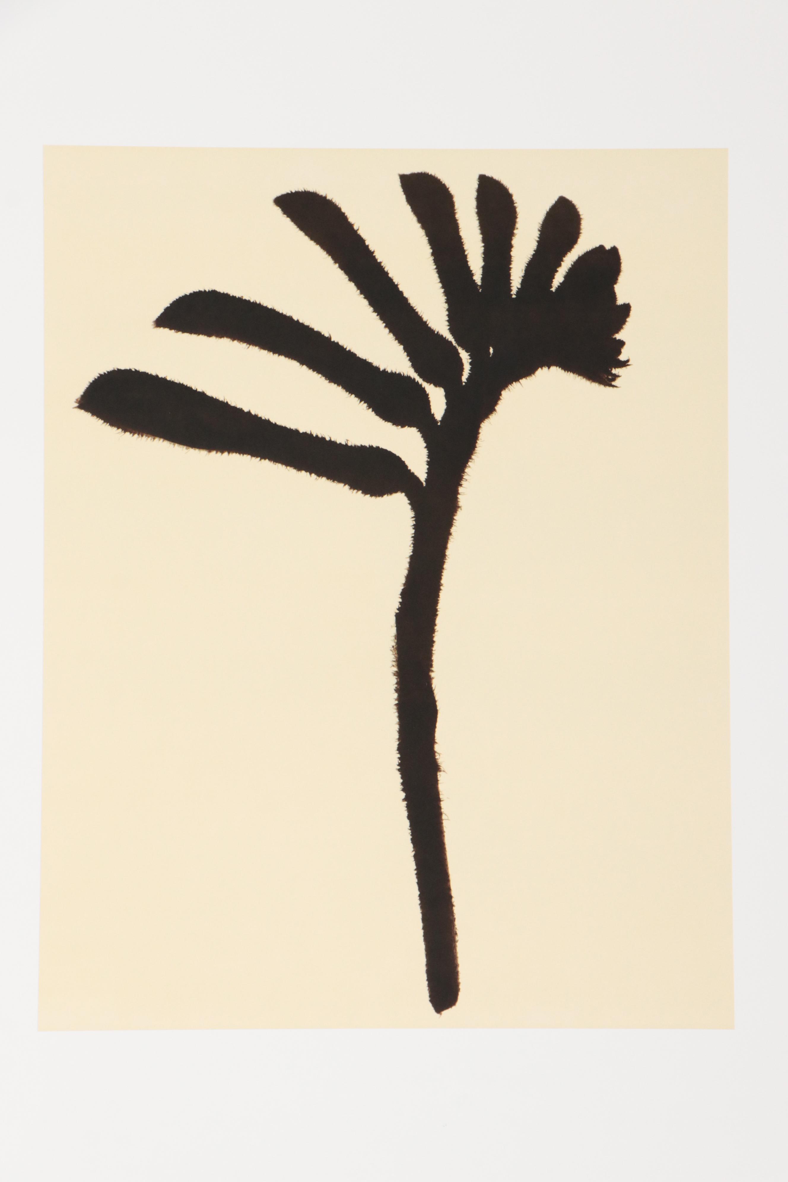 Torkil Gudnason Iris Prints "Natural Elements," 2000/2001