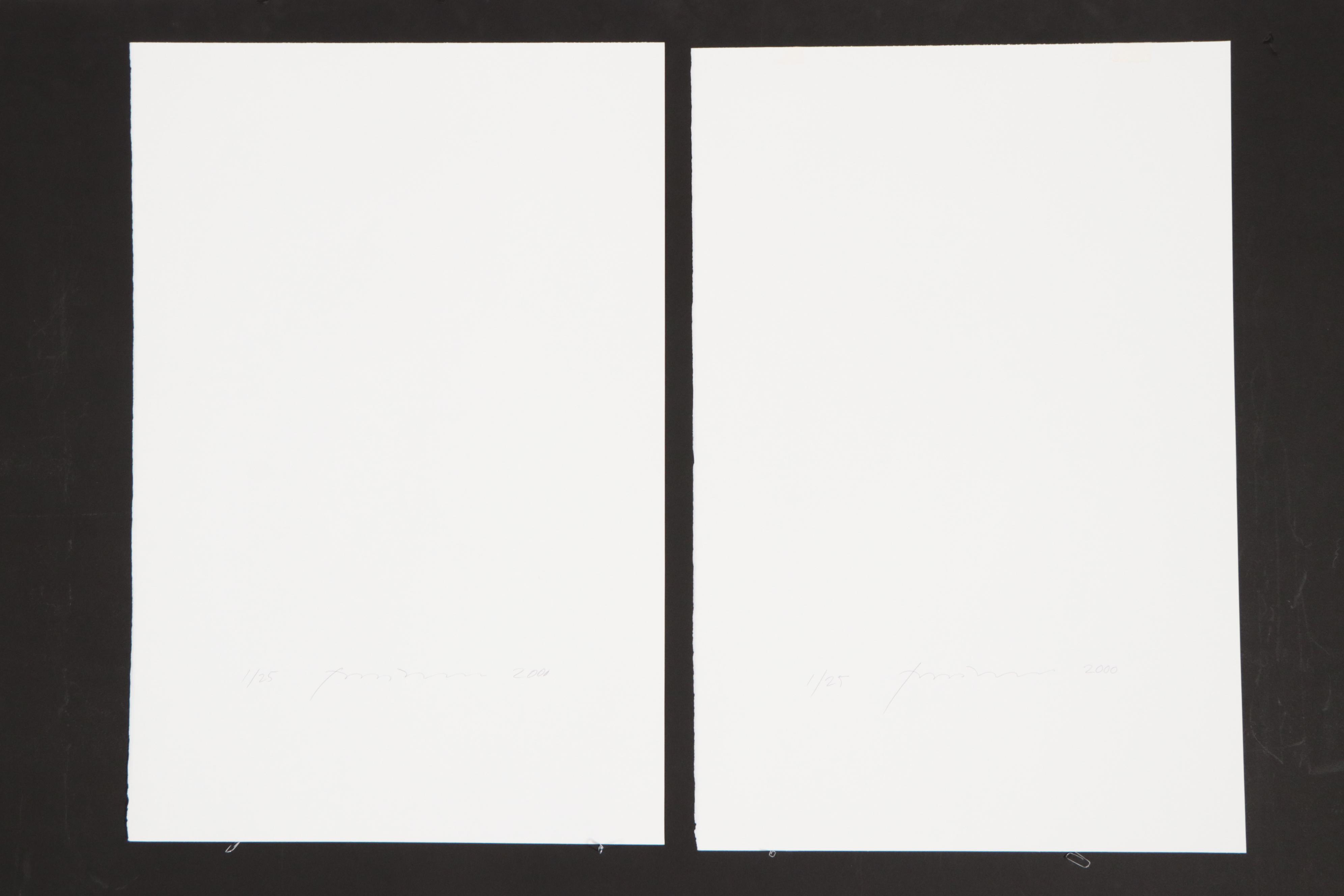 Torkil Gudnason Iris Prints "Natural Elements," 2000/2001