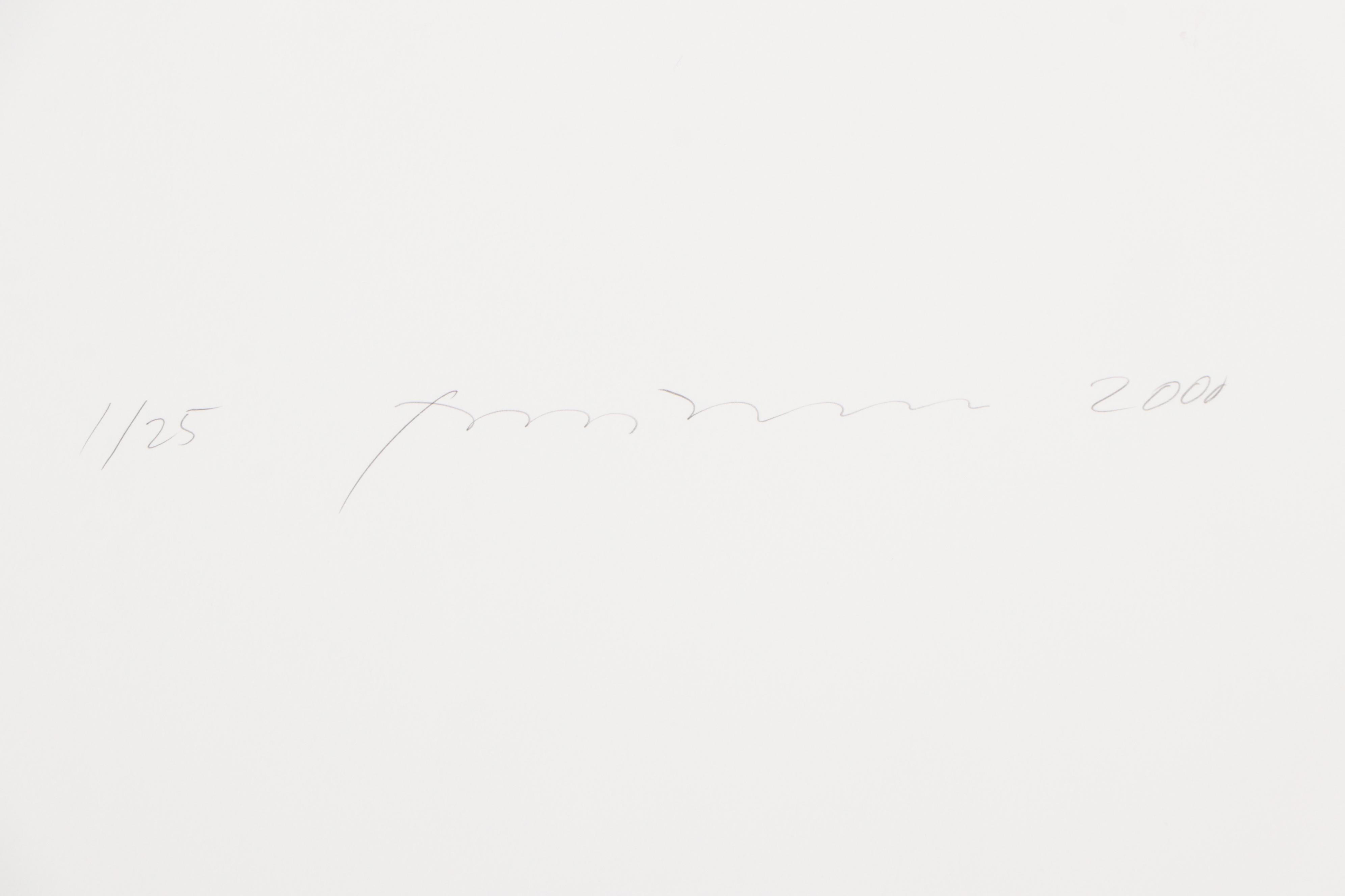 Torkil Gudnason Iris Prints "Natural Elements," 2000/2001