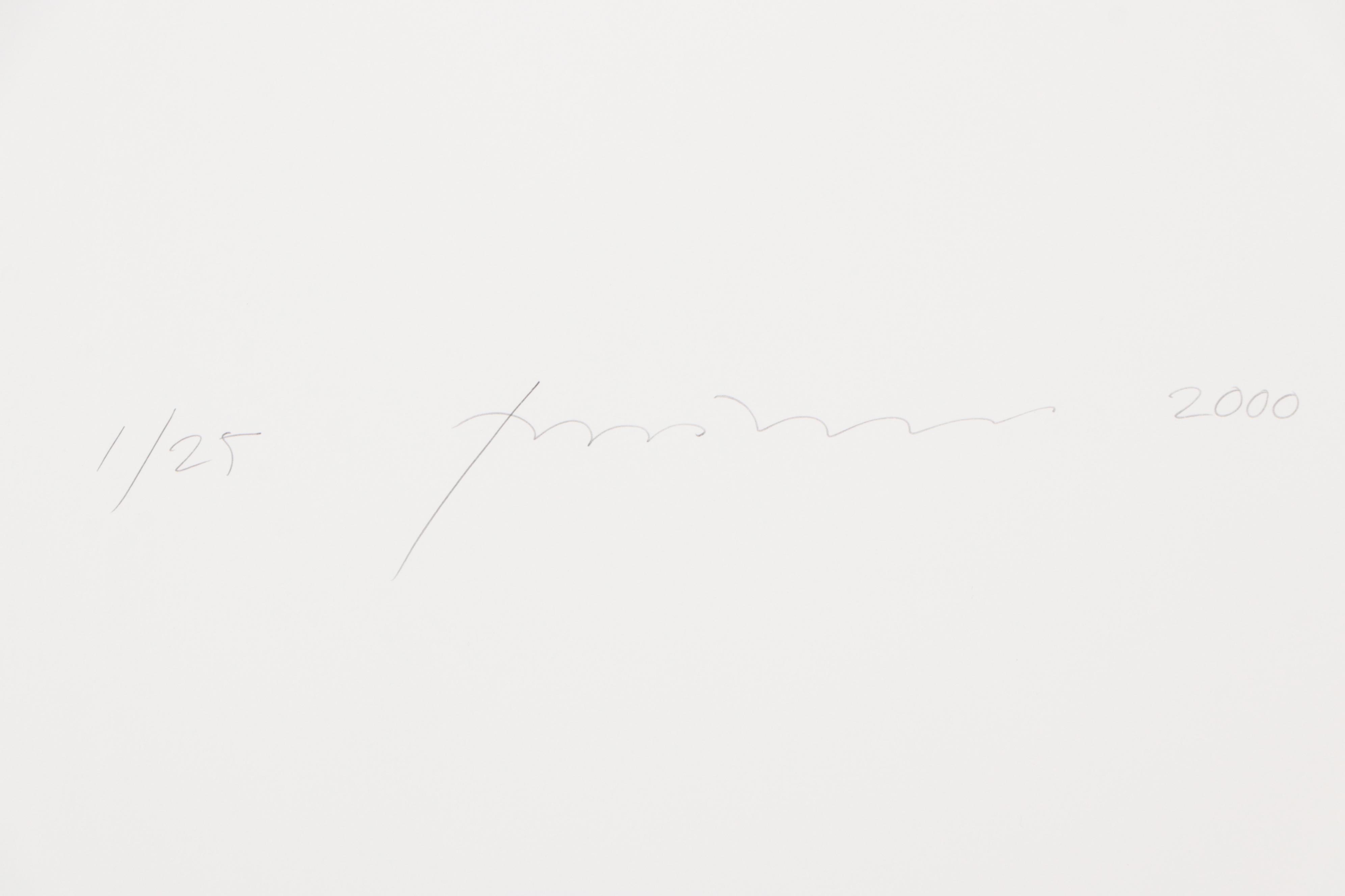 Torkil Gudnason Iris Prints "Natural Elements," 2000/2001