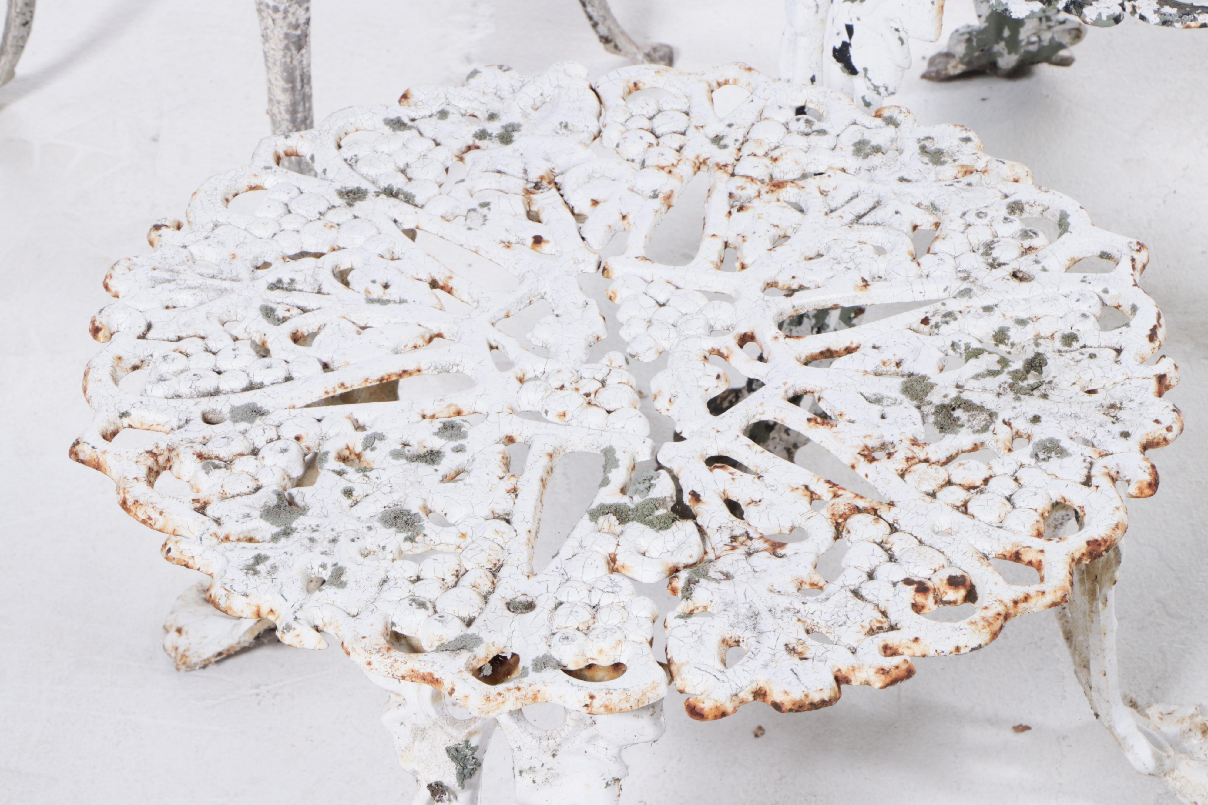 Assembled Group of Cast Iron and Aluminum Garden Furniture