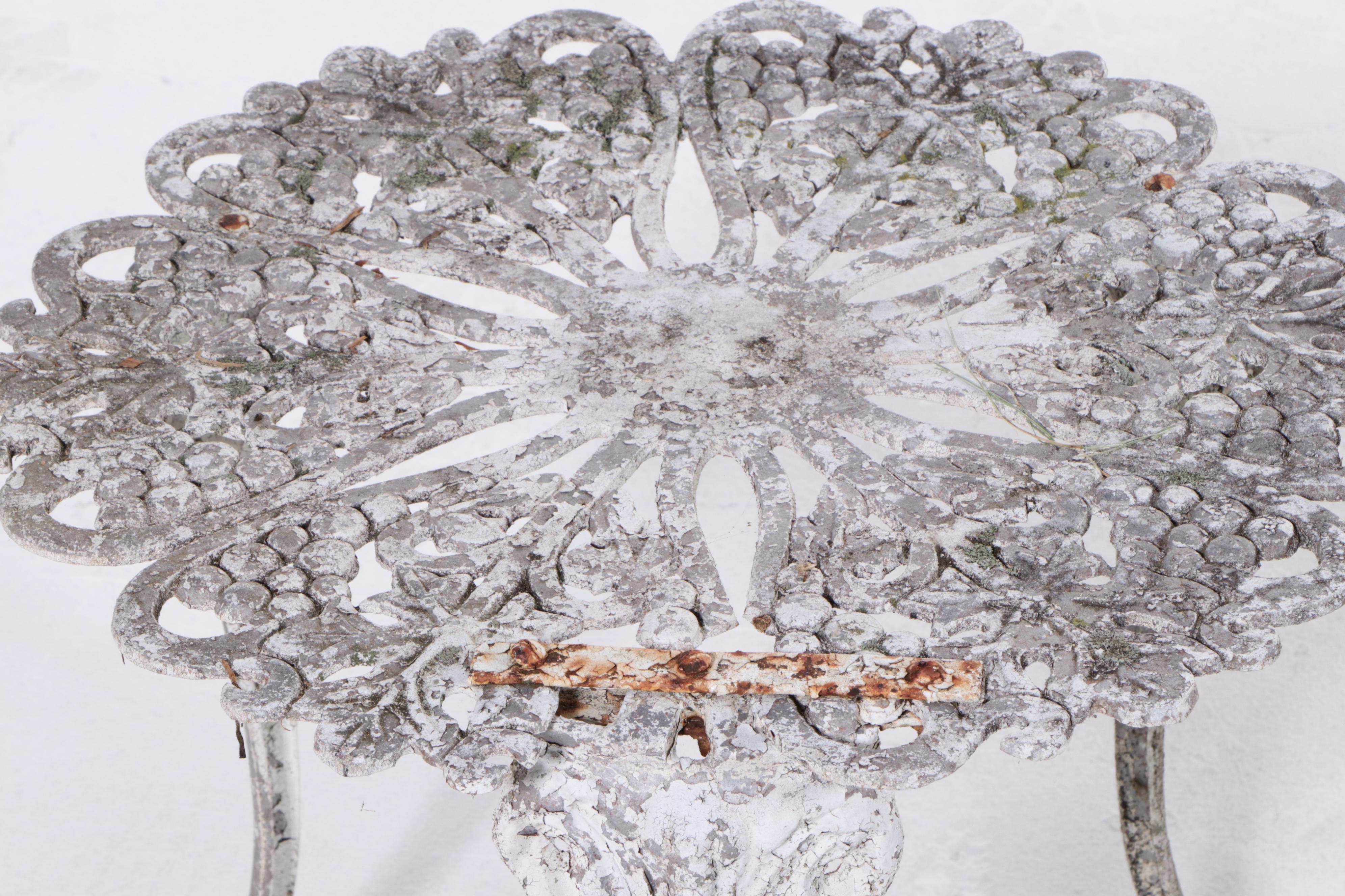 Assembled Group of Cast Iron and Aluminum Garden Furniture