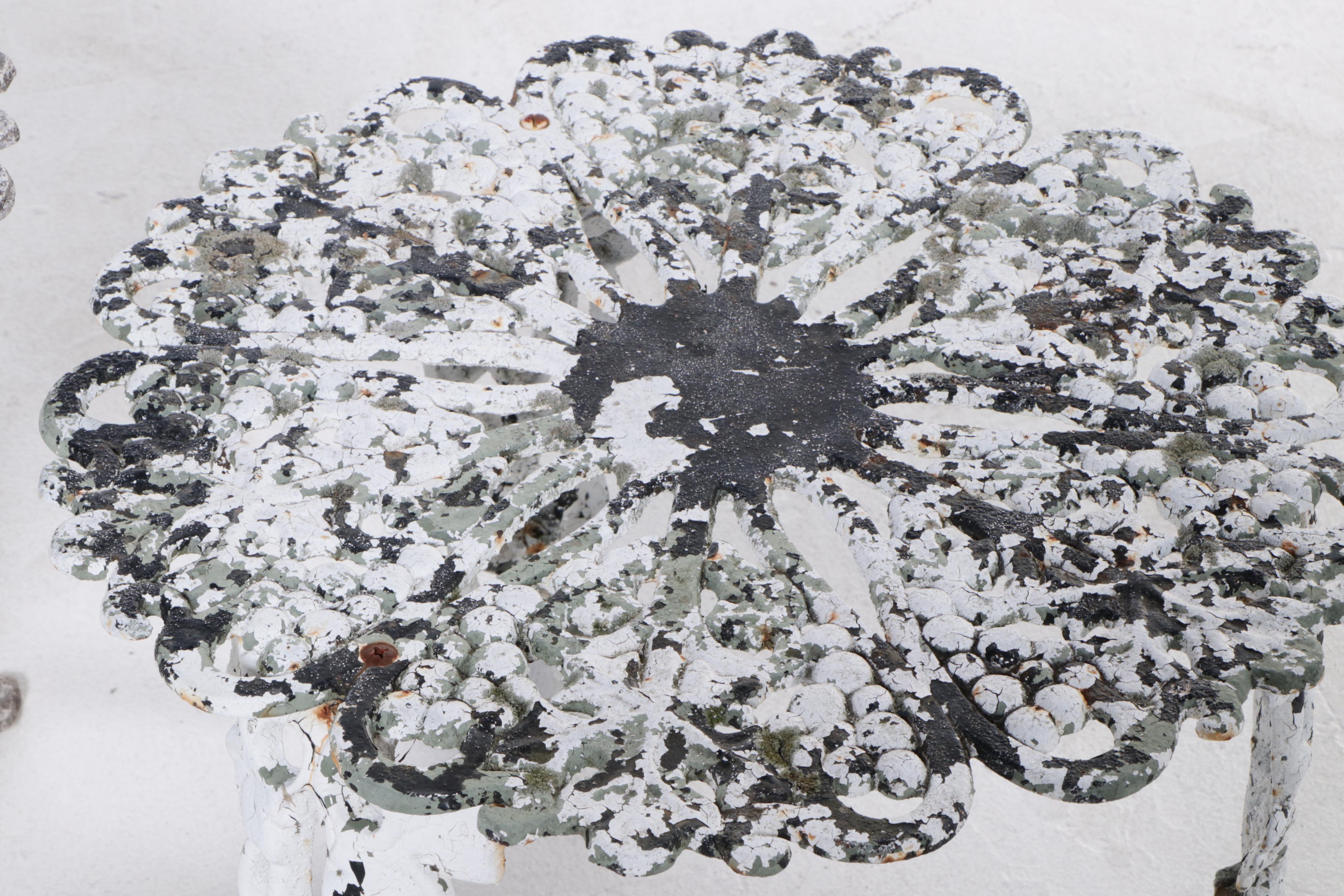 Assembled Group of Cast Iron and Aluminum Garden Furniture