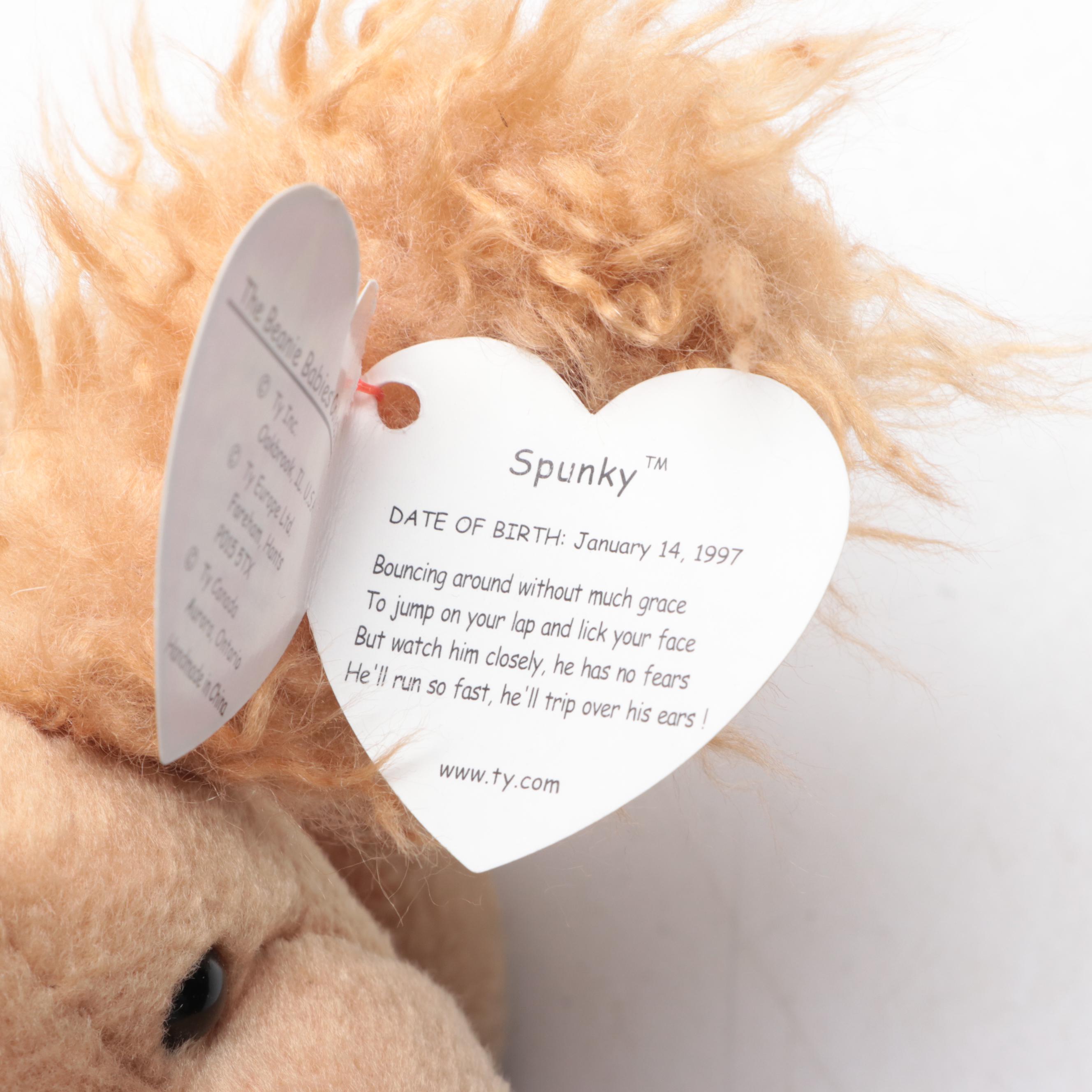 Steiff Classic Series Teddy Bear with Ty Spunky Beanie Baby