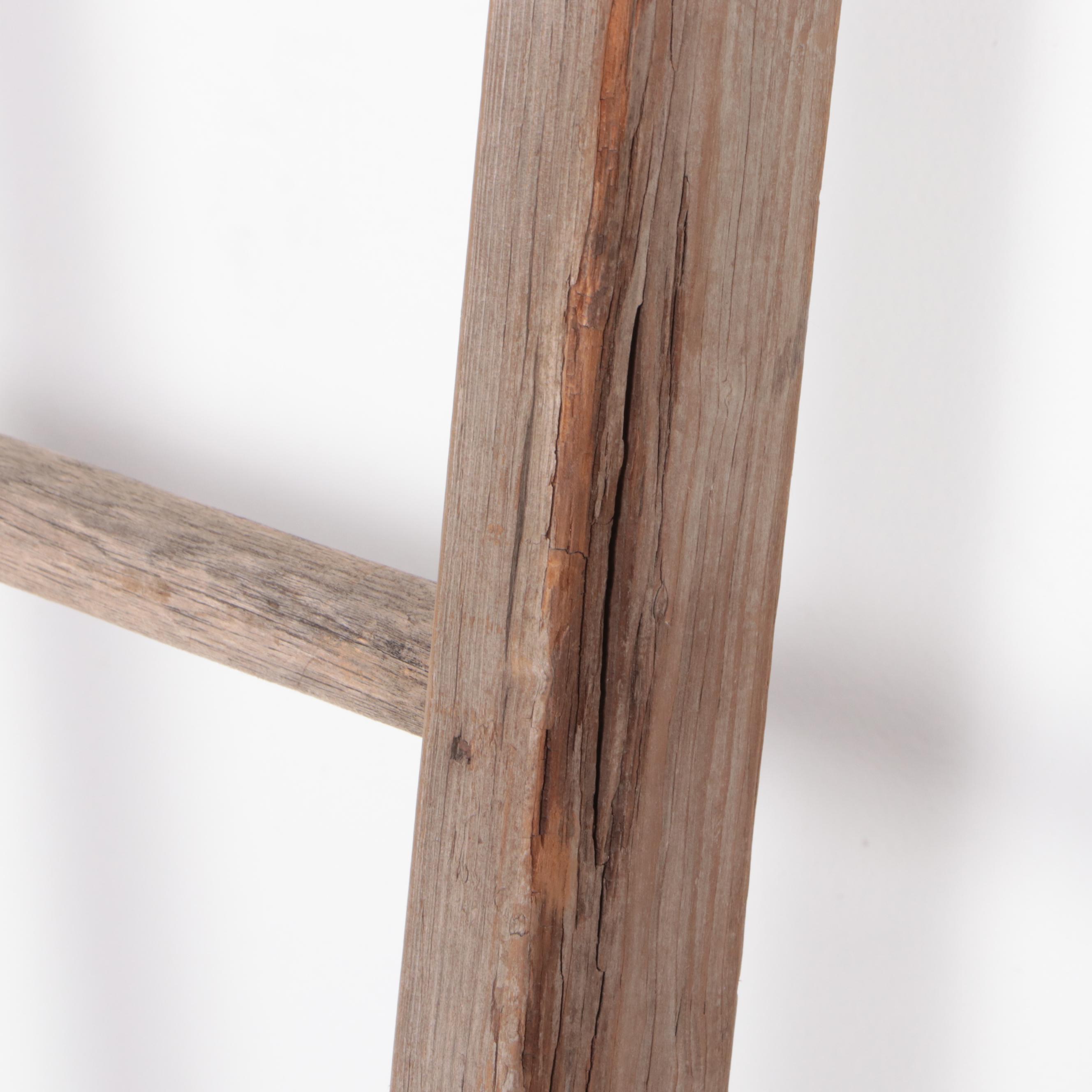 Two American Primitive Ladders, Late 19th/Early 20th Century