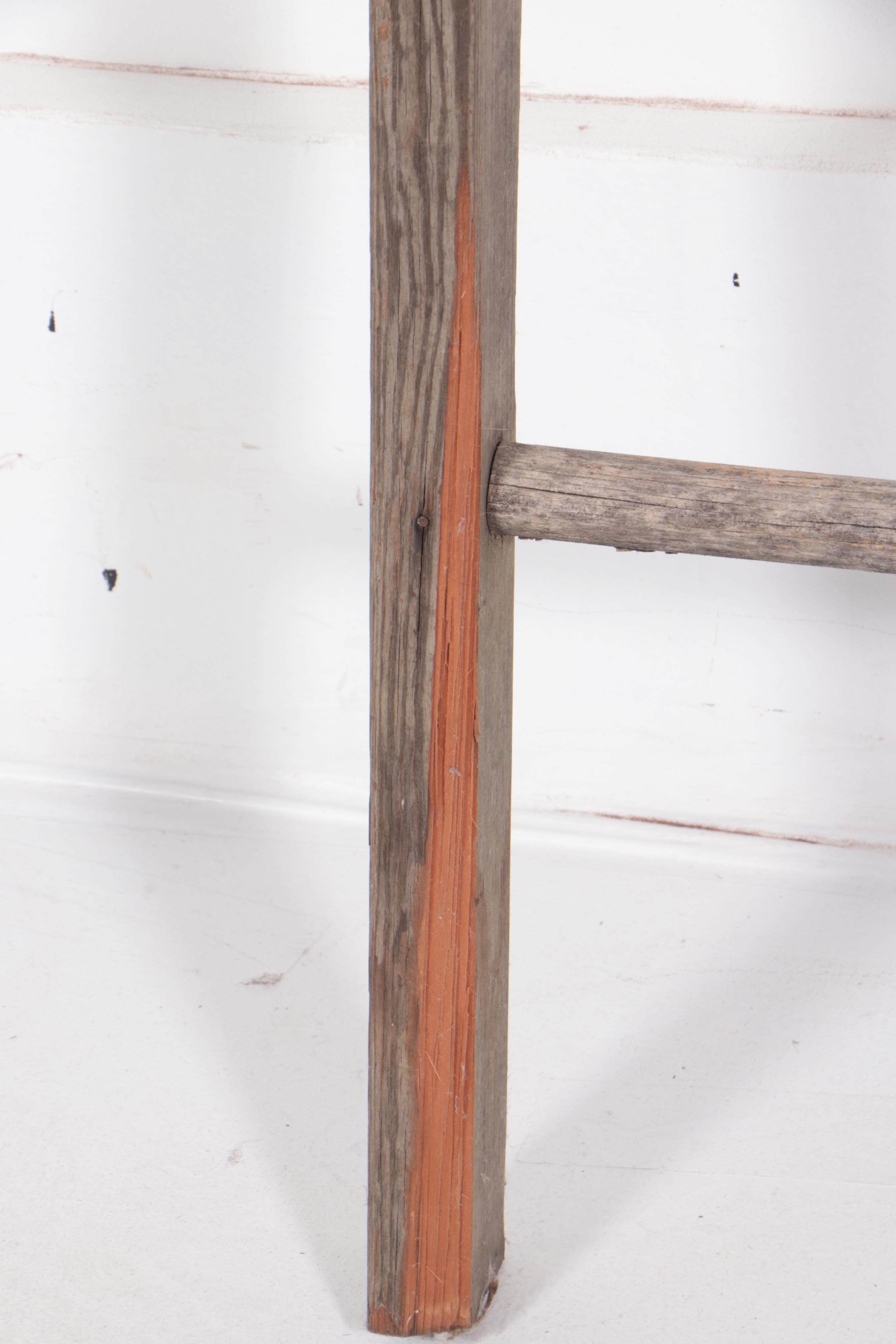 Two American Primitive Ladders, Late 19th/Early 20th Century