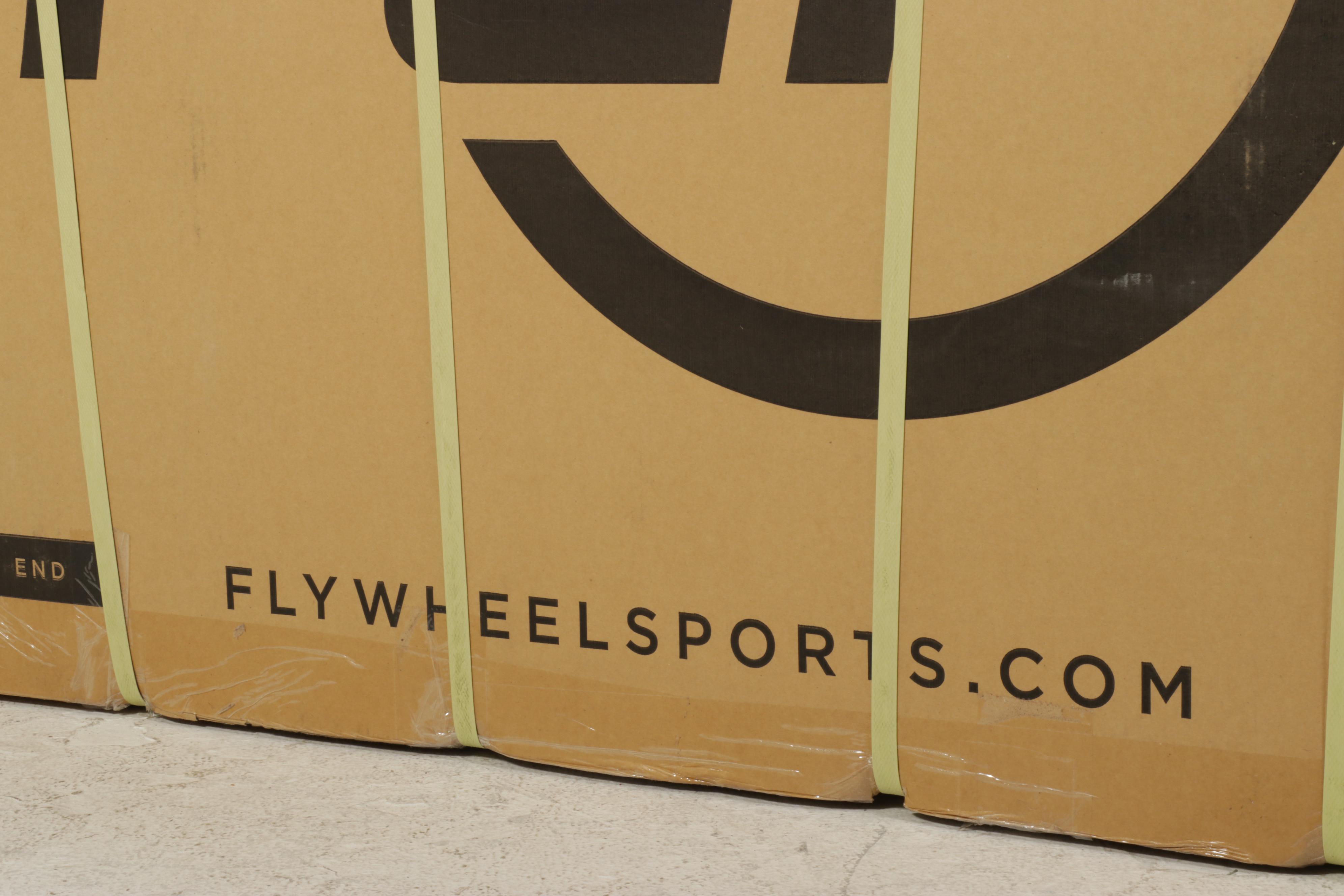 Flywheel IC5 Stationary Exercise Home Fitness Bike