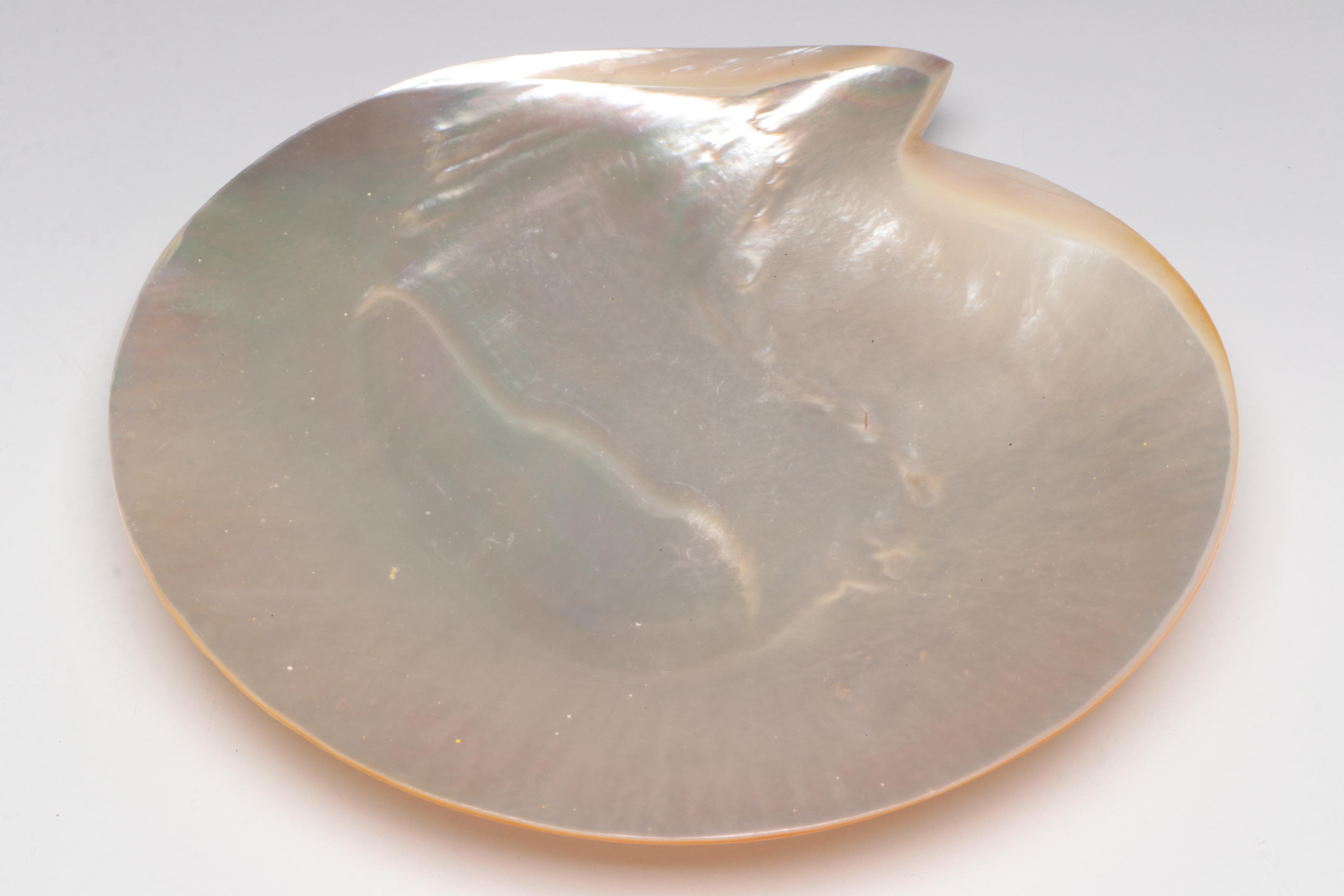 Victorian Inkwell Set with Other Mother-of-Pearl Spoon and Dish