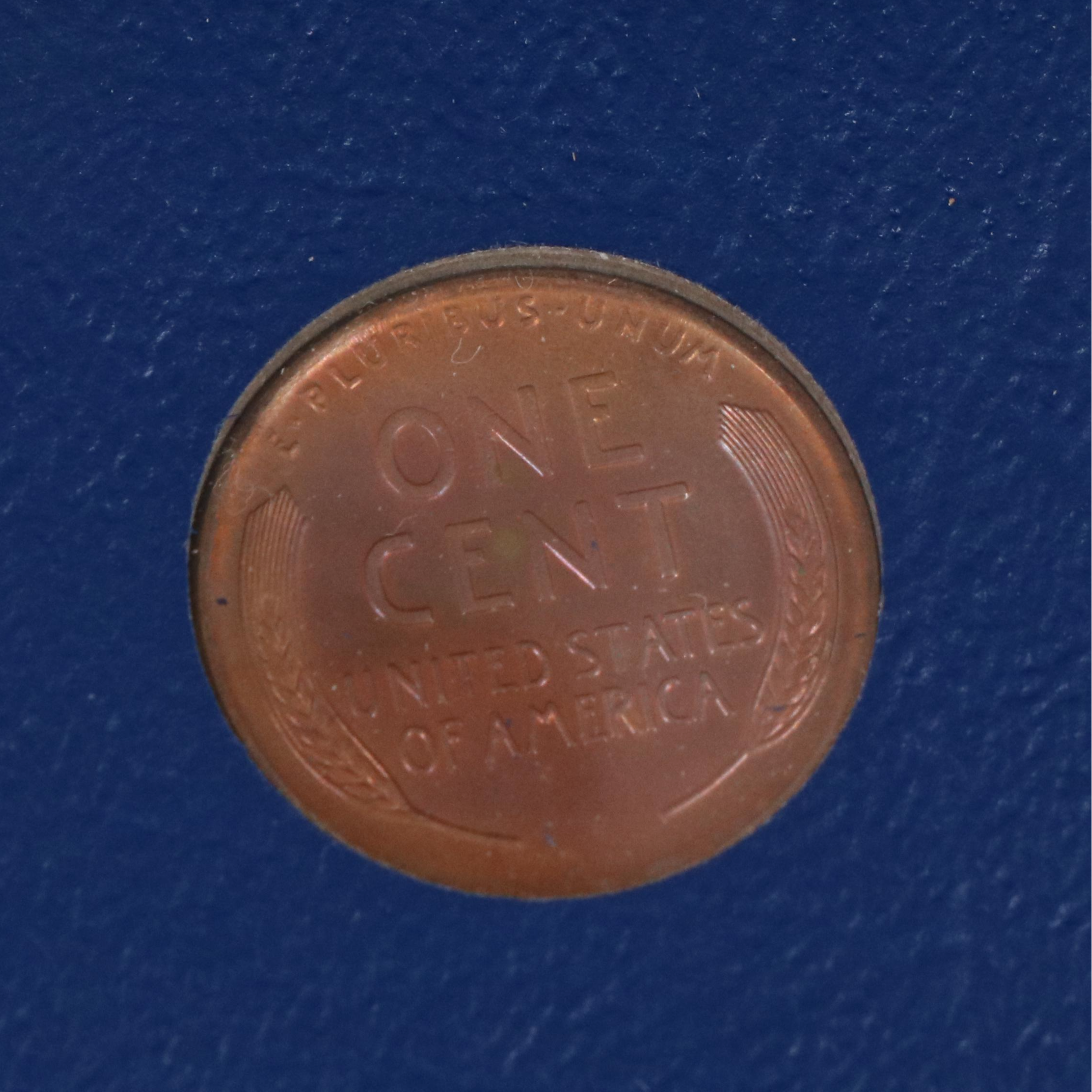 Nearly Complete Lincoln Cent Collection from 1909-1964