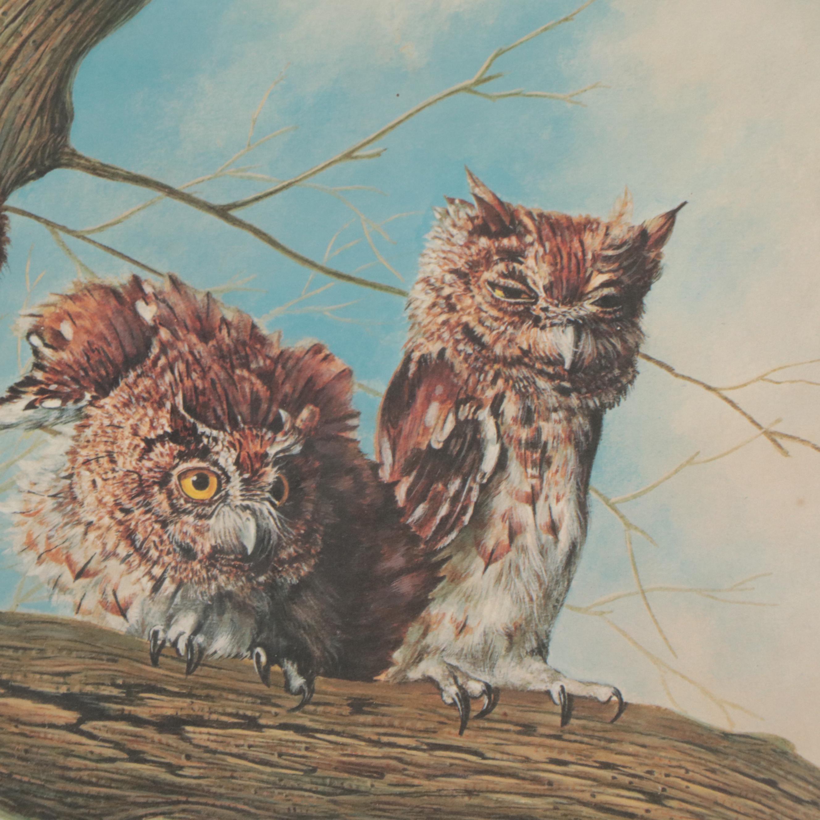 Charles Fracé Offset Lithograph "Screech Owl"
