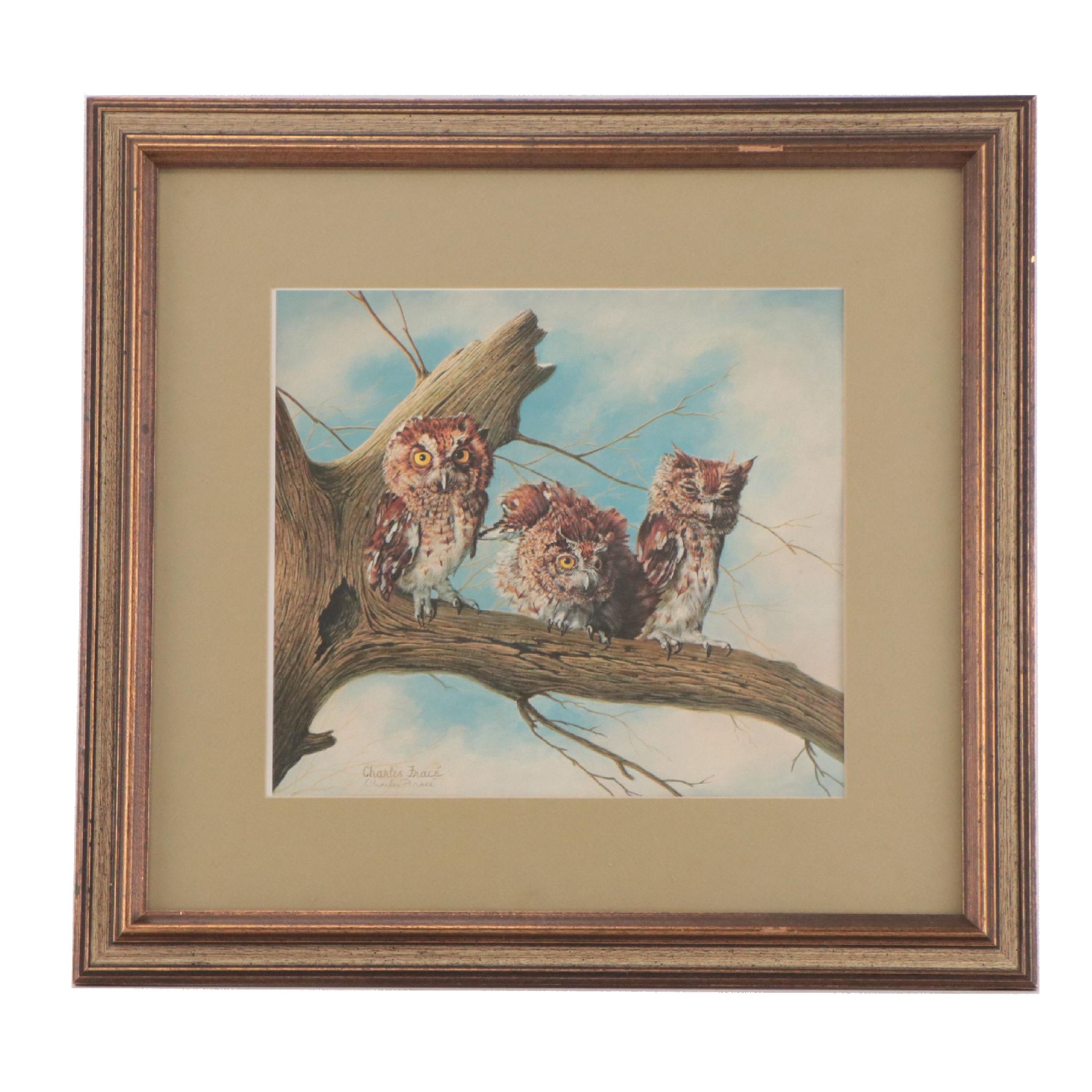 Charles Fracé Offset Lithograph "Screech Owl"
