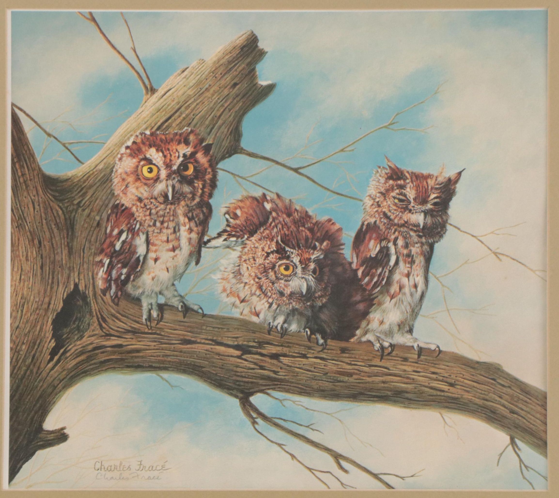 Charles Fracé Offset Lithograph "Screech Owl"