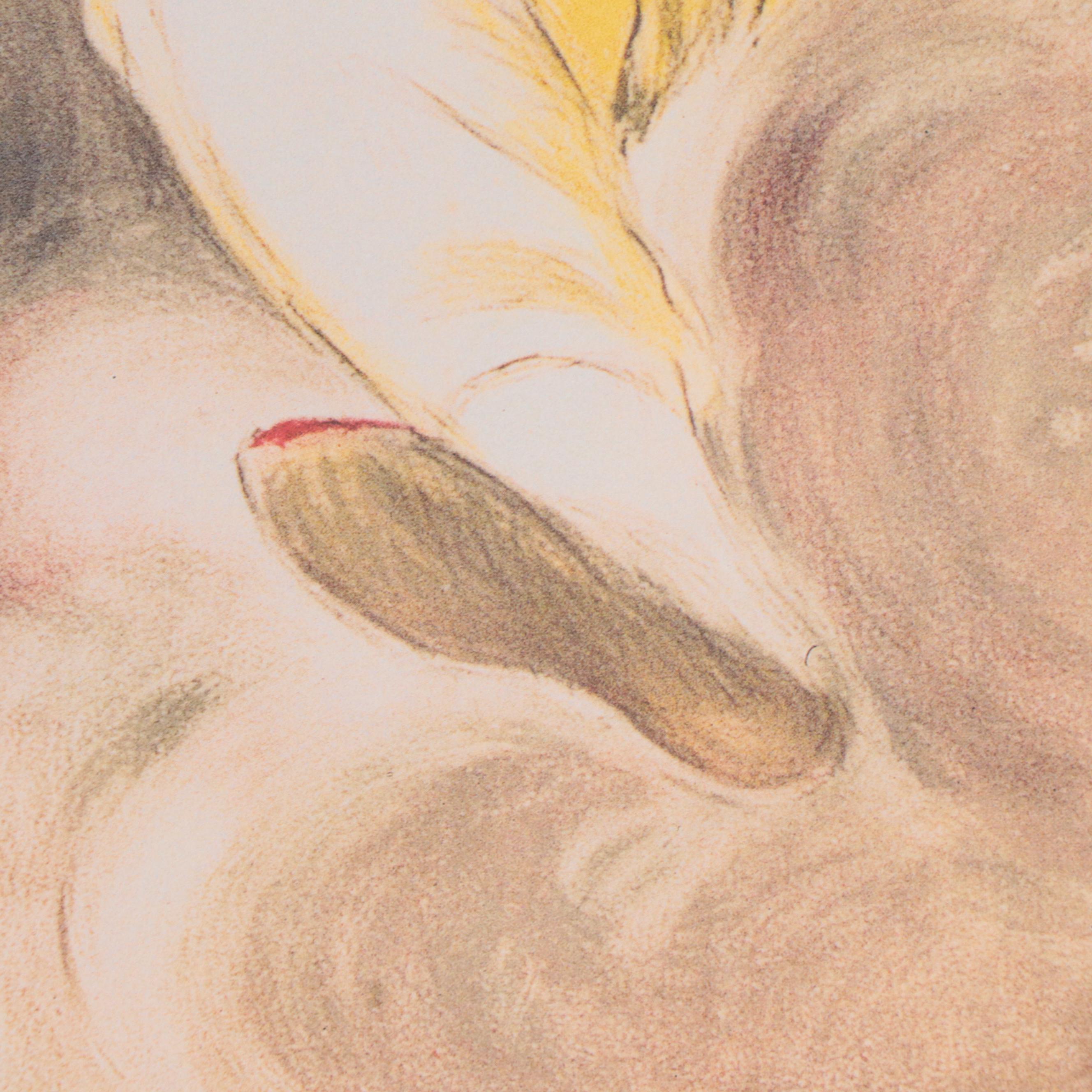 Offset Lithograph After Leonetto Cappiello "Café Martin"