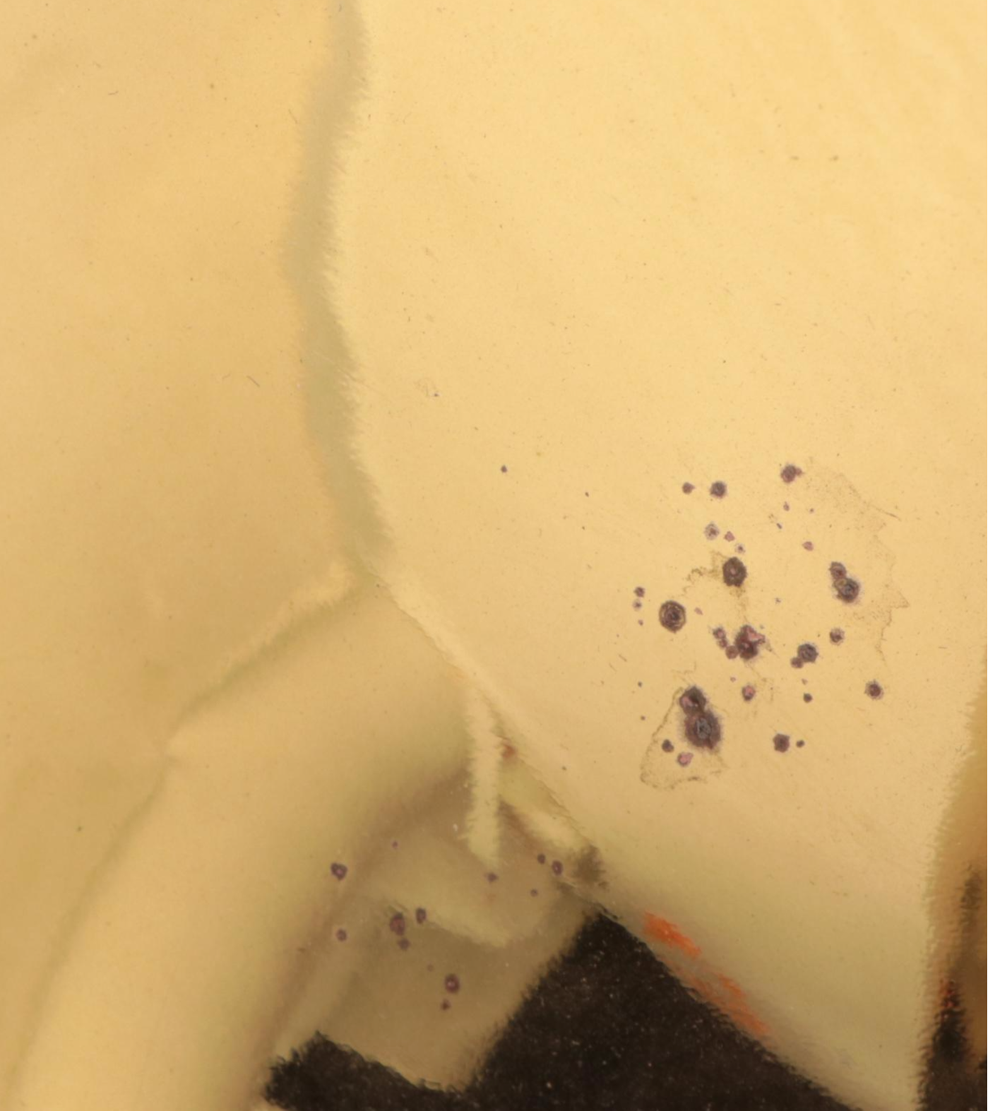 Indiana Brass French Horn