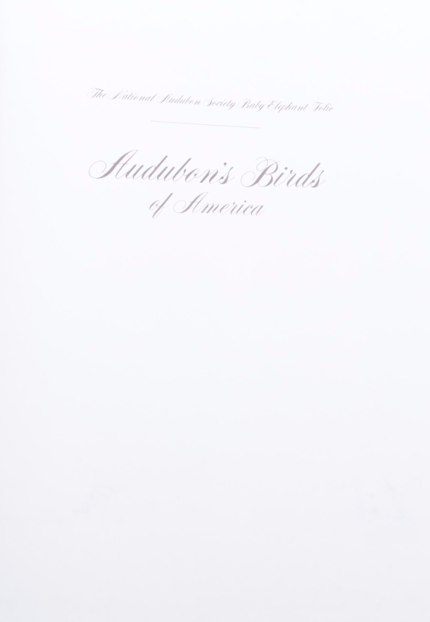 "Audubon's Birds of America" Baby Elephant Folio by the Petersons