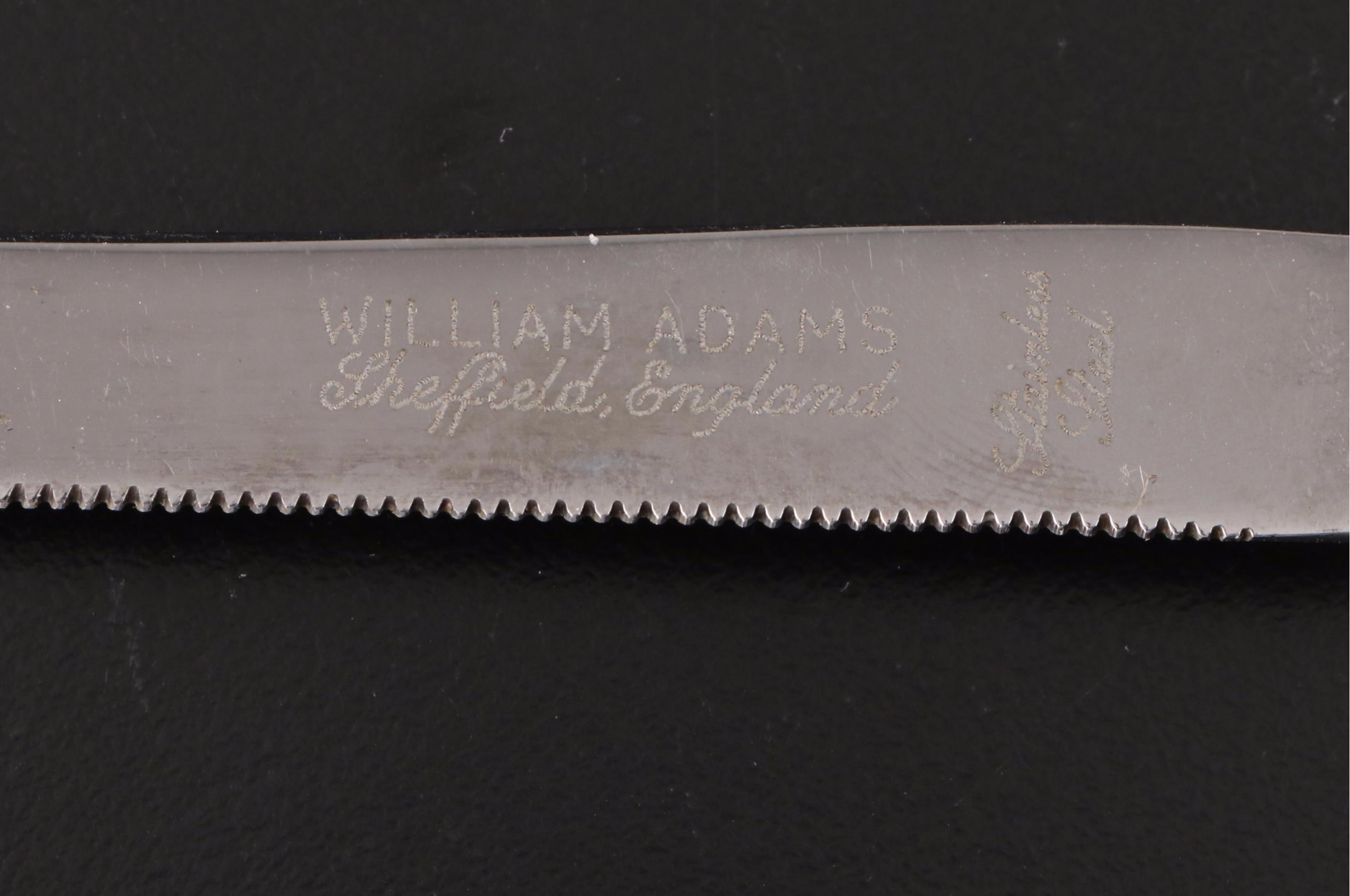 Composite and Resin Shell Shaped Bowl with MOP Handled Knife and Spoon