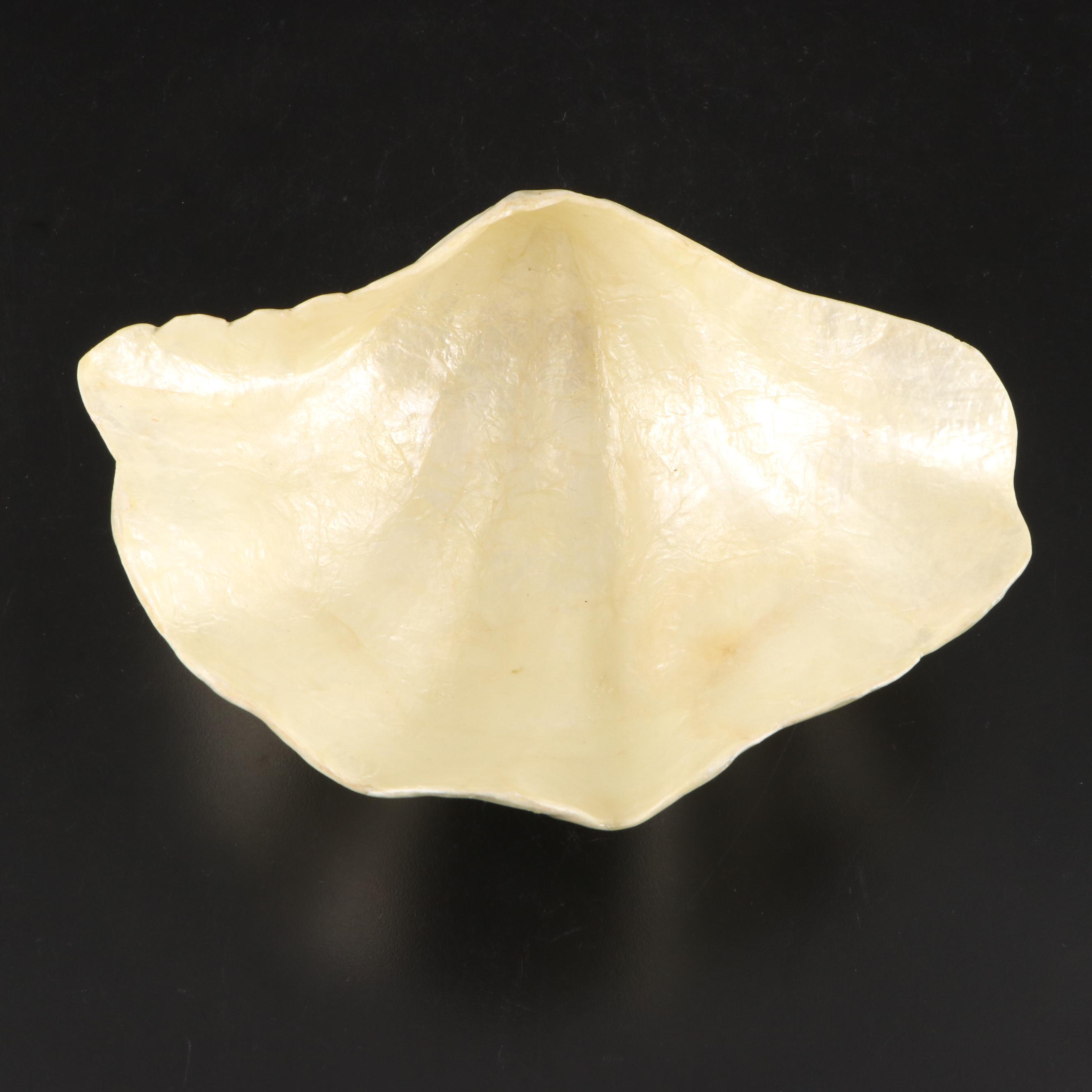 Composite and Resin Shell Shaped Bowl with MOP Handled Knife and Spoon