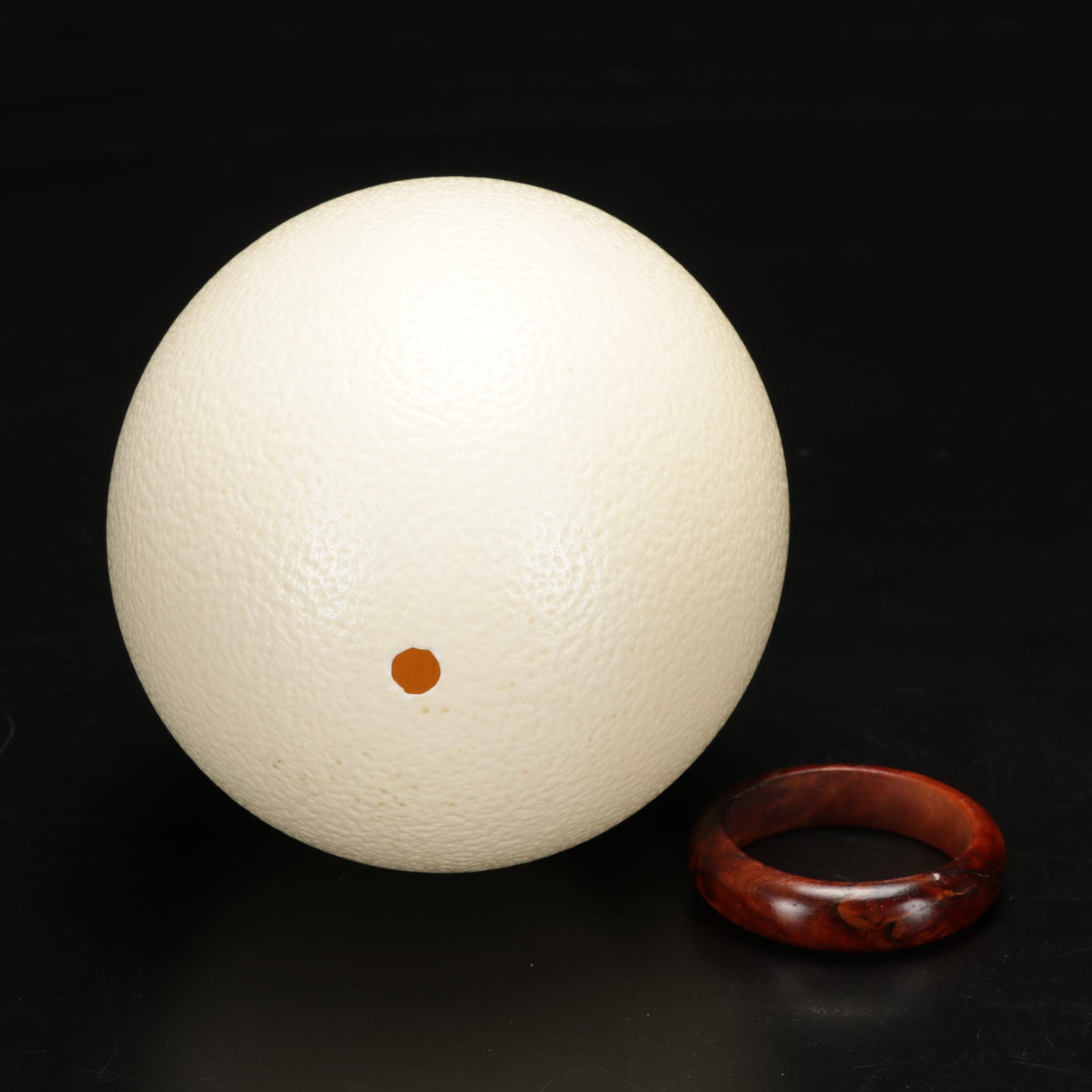 Rhea and Ostrich Eggs