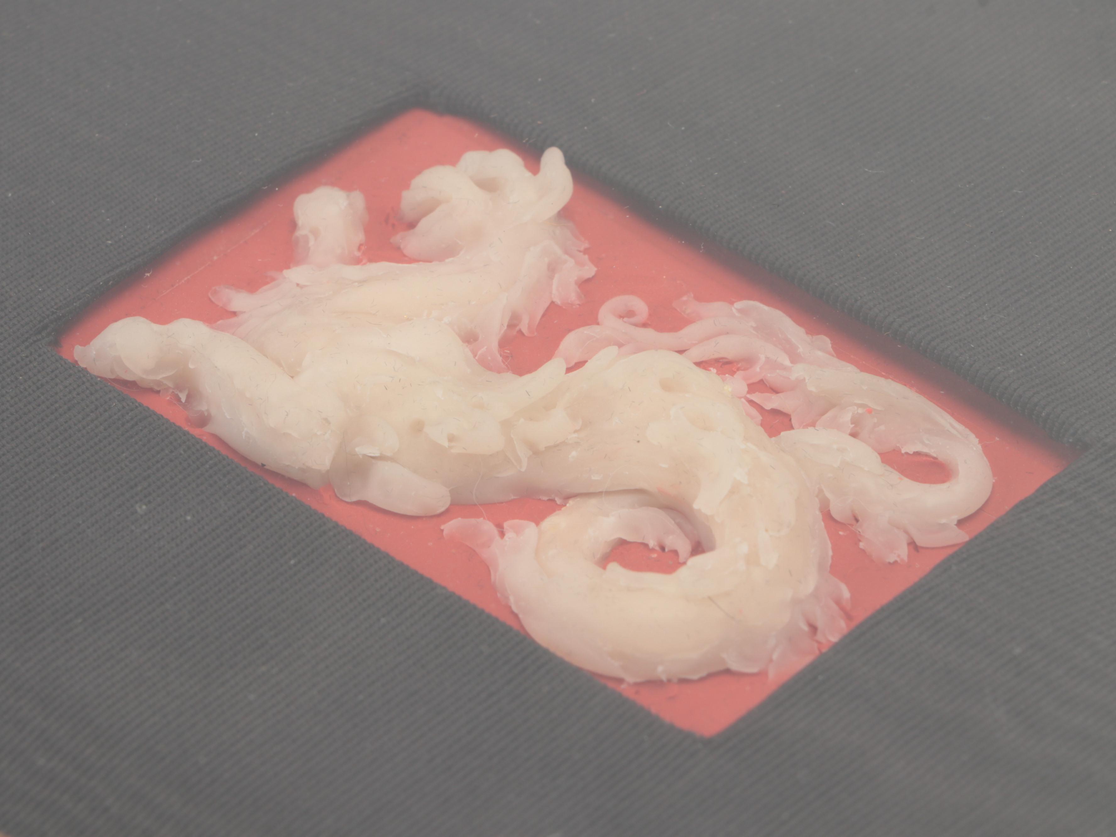 Campbell Paxton for Miller Gallery Framed Wax Mythical Dragon Plaque