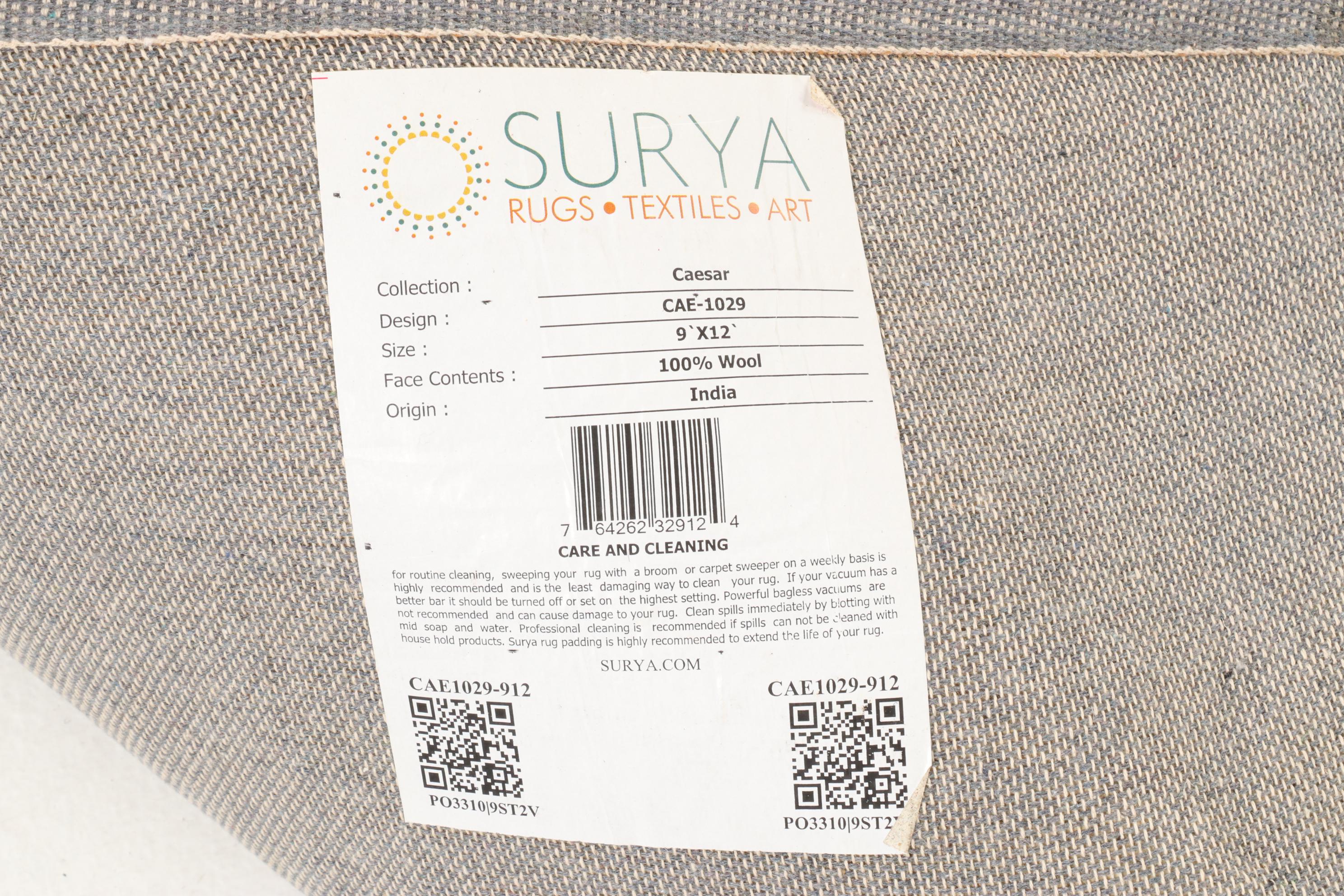 8'11 x 11'11 Hand-Tufted Surya Caesar Area Rug