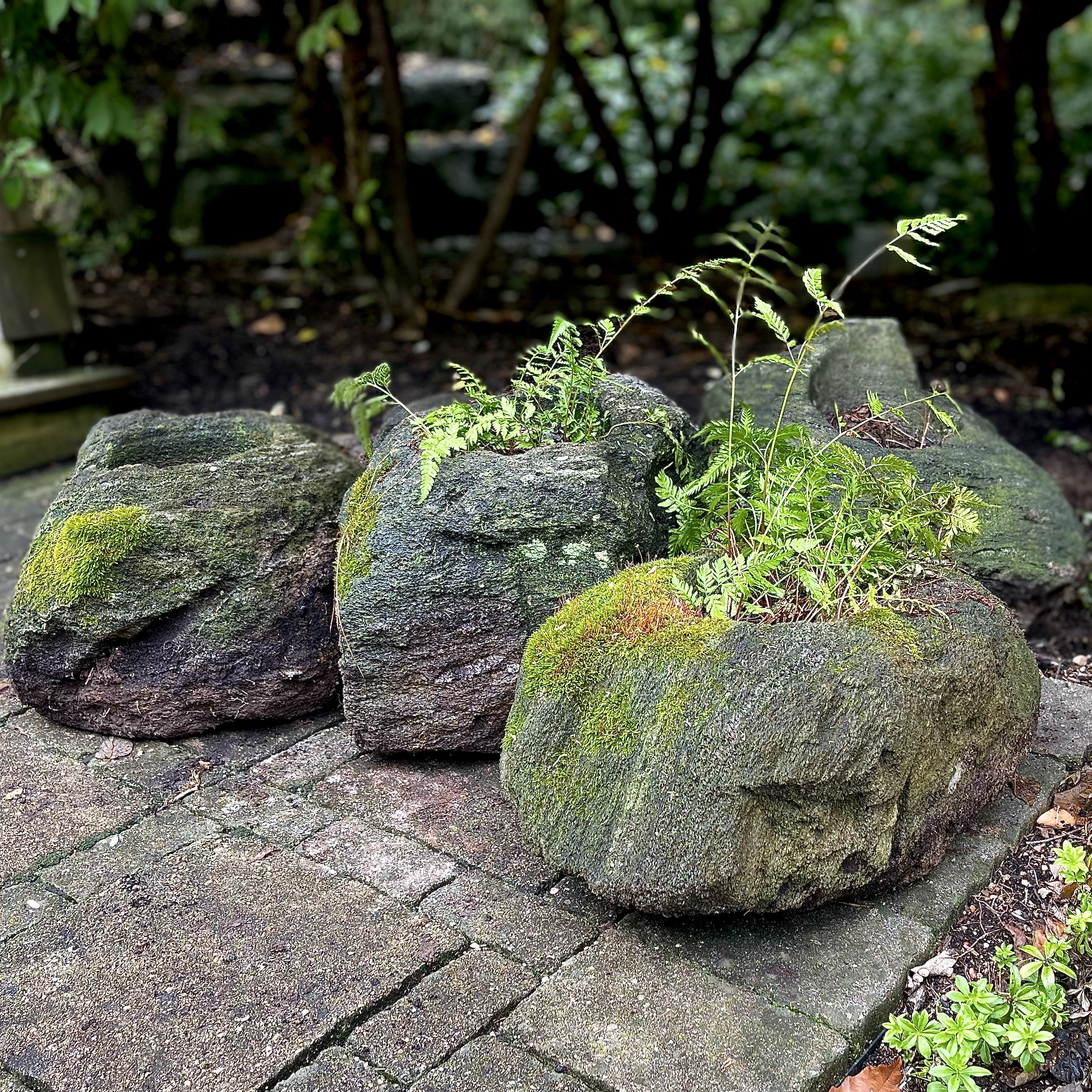 Freeform Shaped Lava Stone Planters
