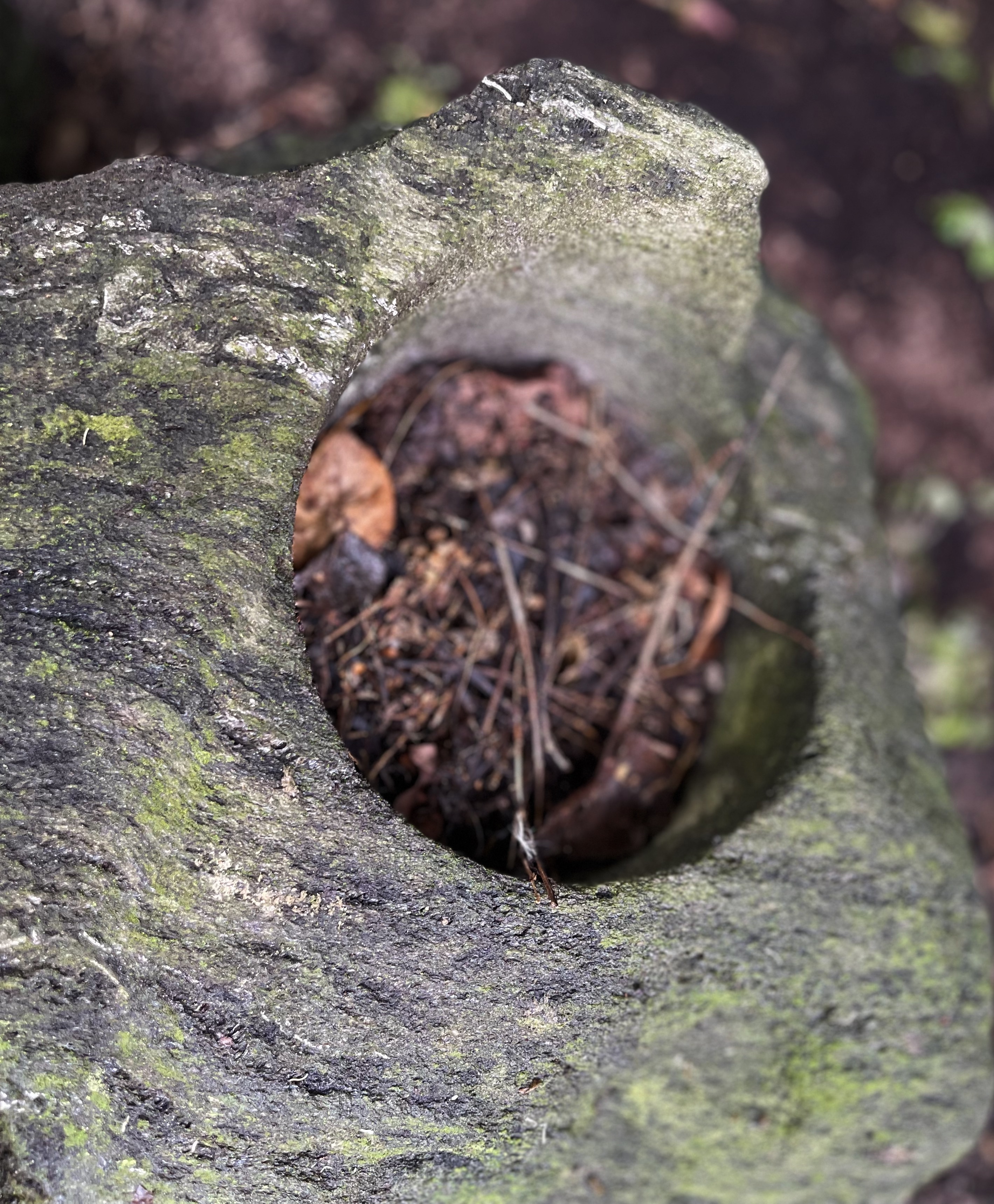 Freeform Shaped Lava Stone Planters