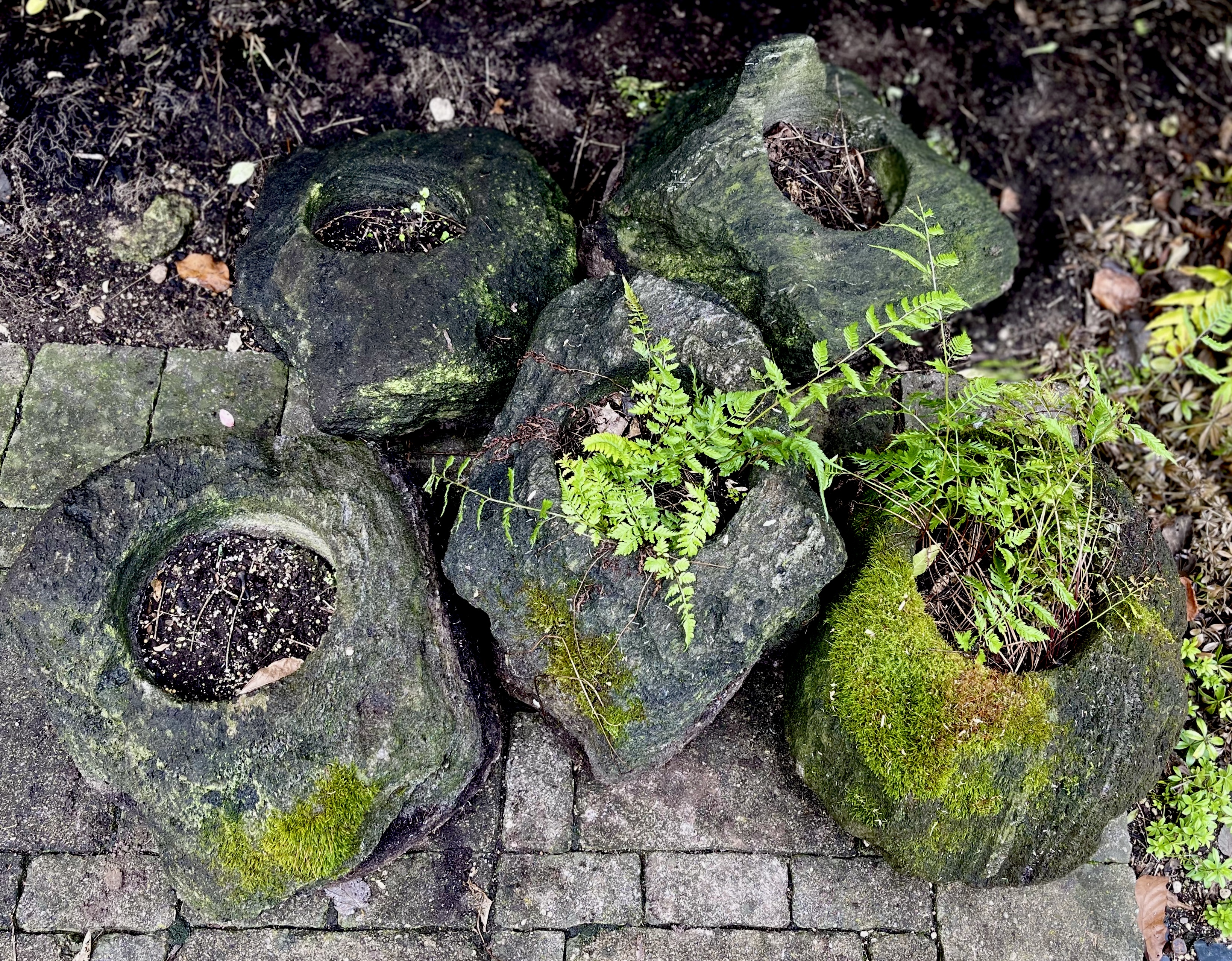 Freeform Shaped Lava Stone Planters