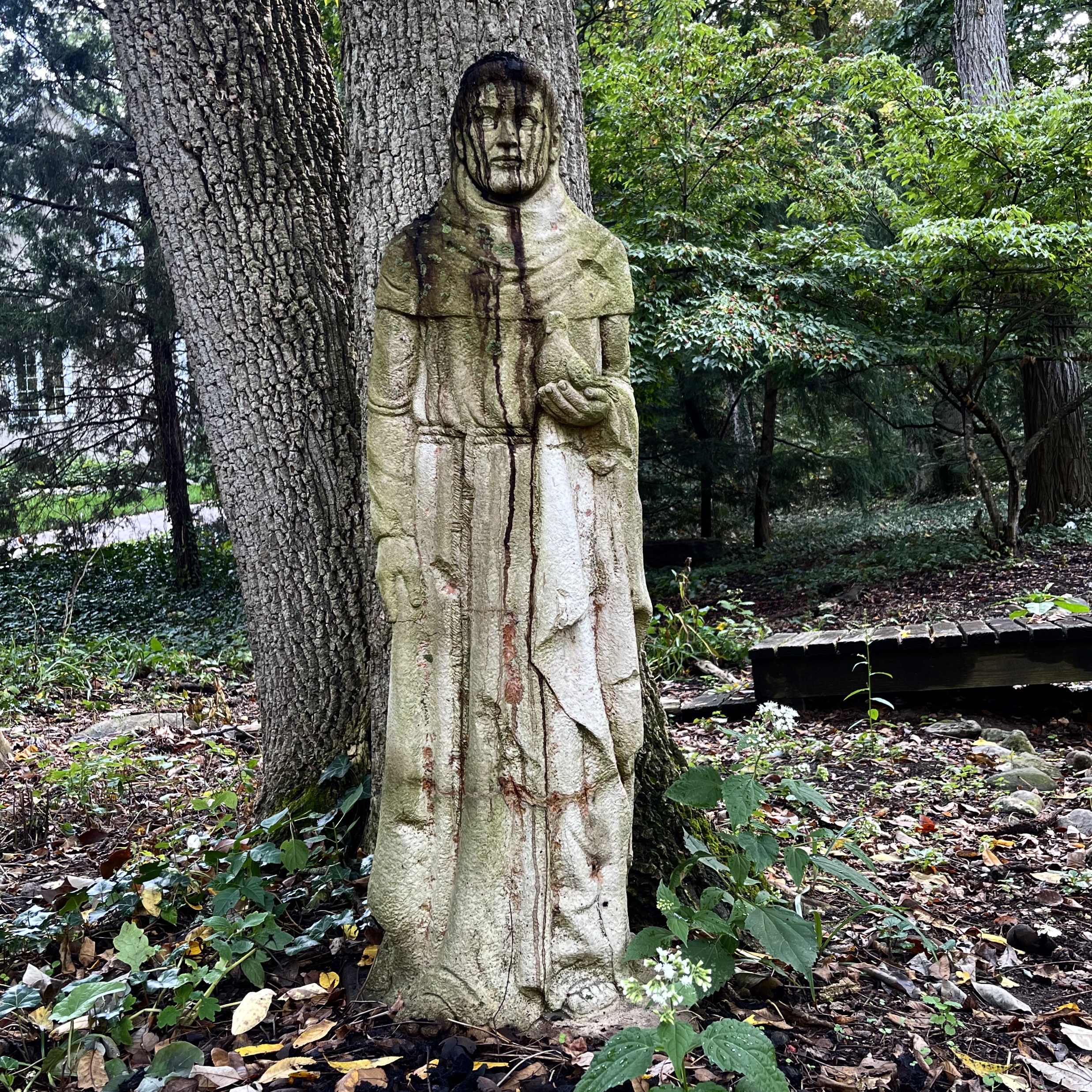 DRT St. Francis of Assisi Concrete Garden Statuary with Walnut Stains