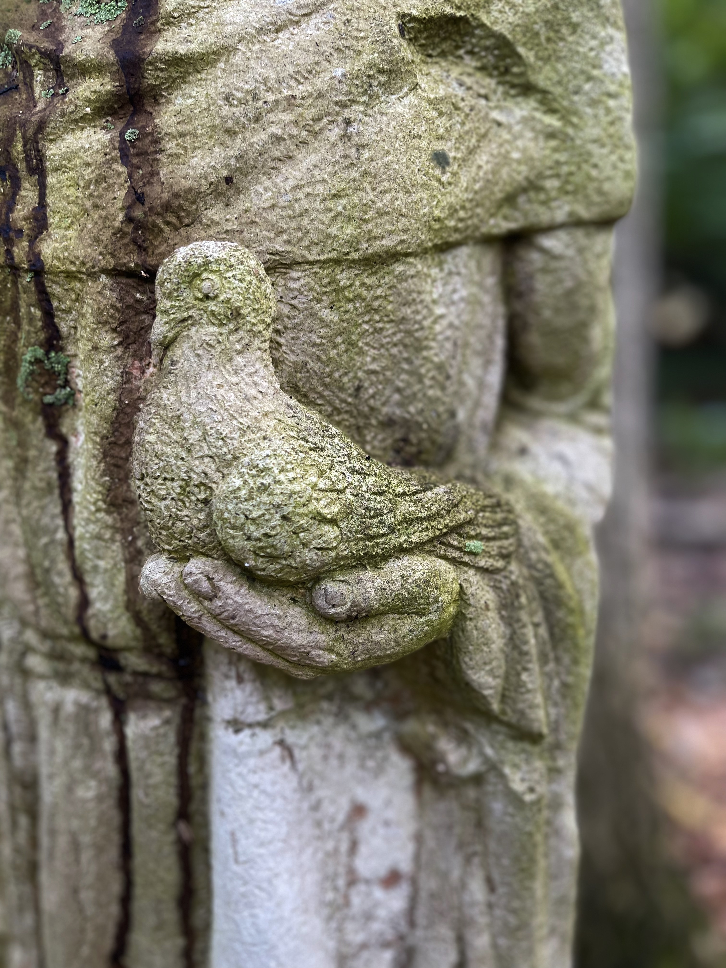 DRT St. Francis of Assisi Concrete Garden Statuary with Walnut Stains
